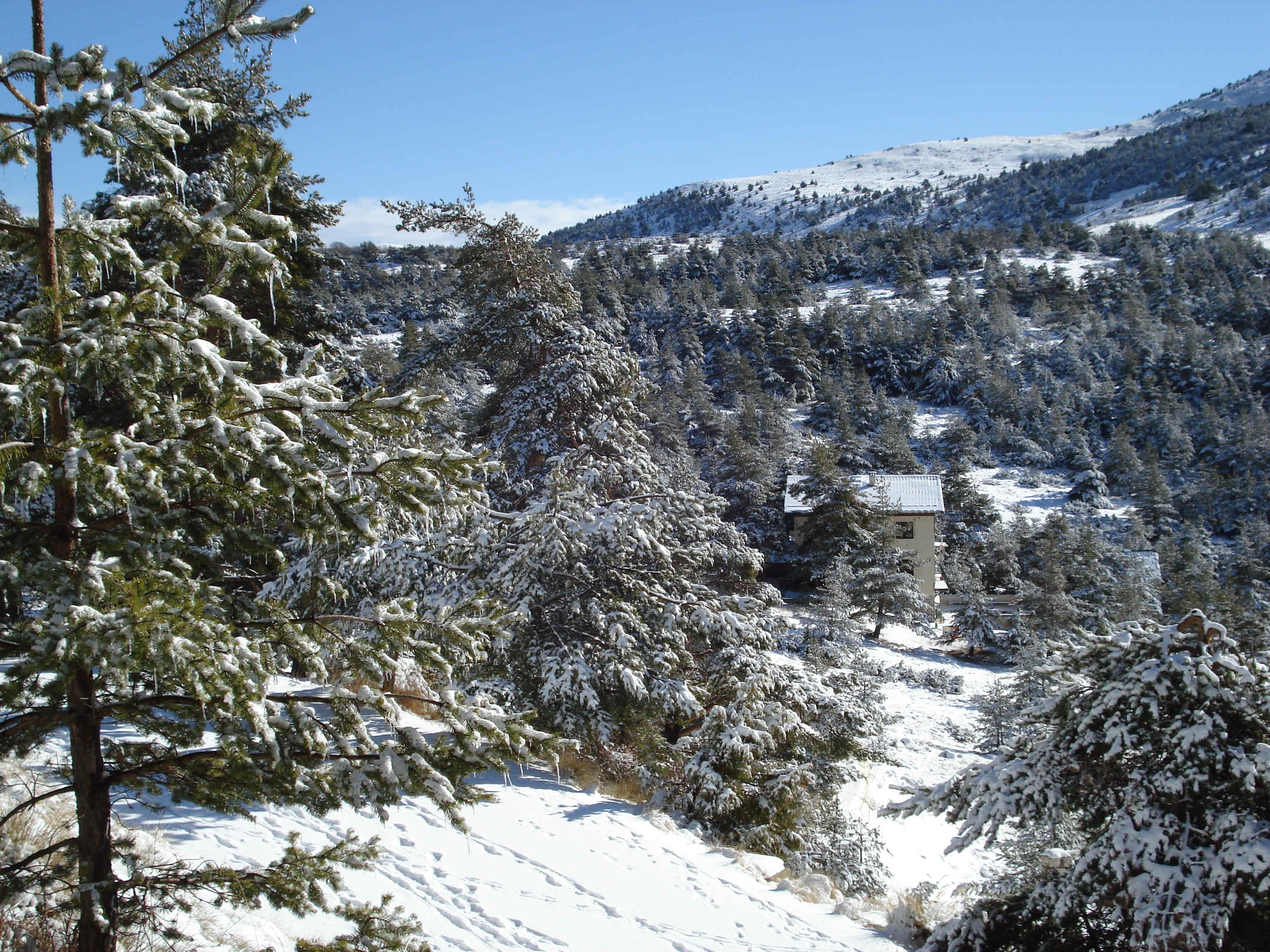 Picture France Greolieres les neiges 2007-01 31 - Tours Greolieres les neiges