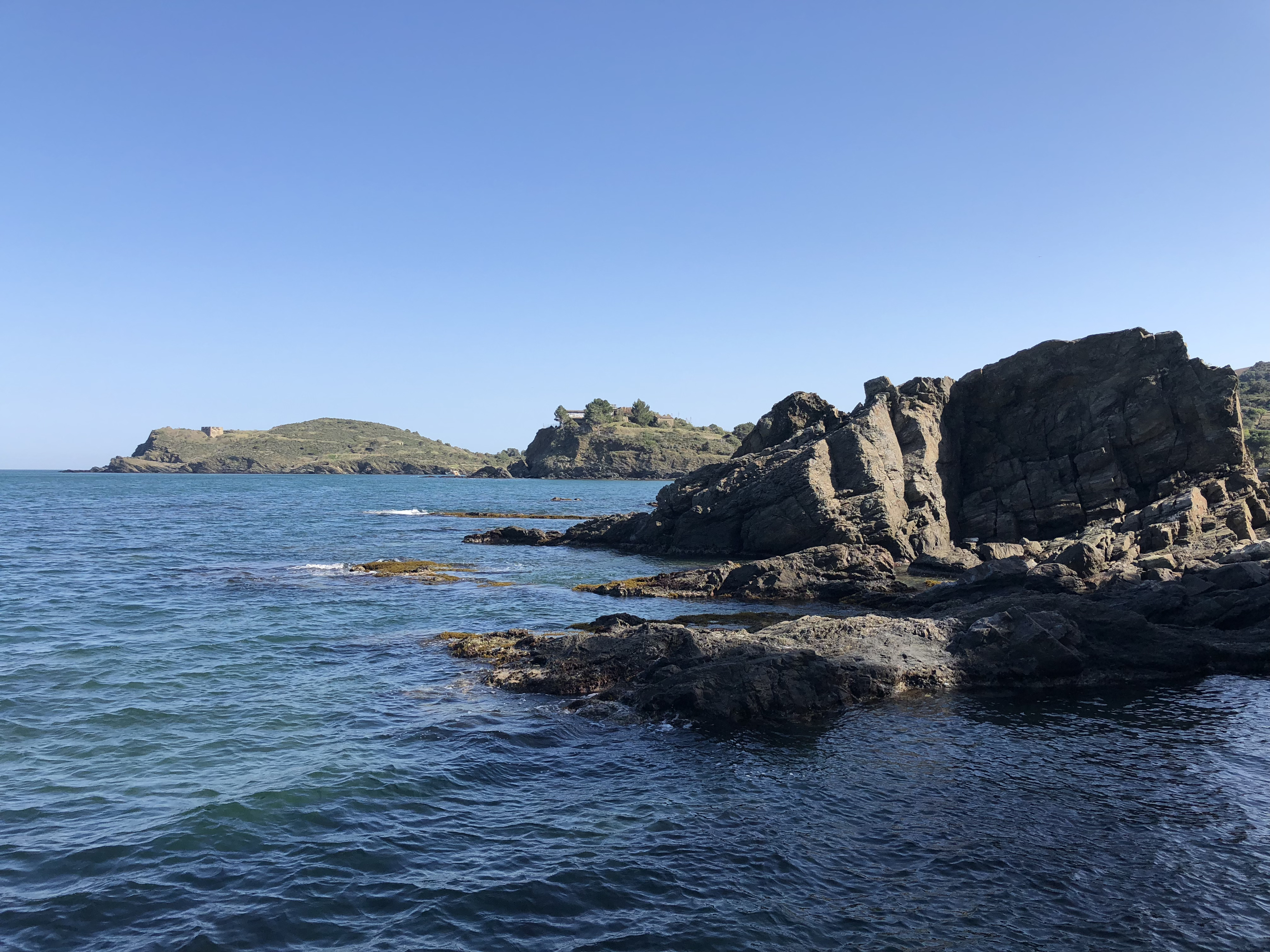 Picture France Collioure 2018-04 331 - Center Collioure