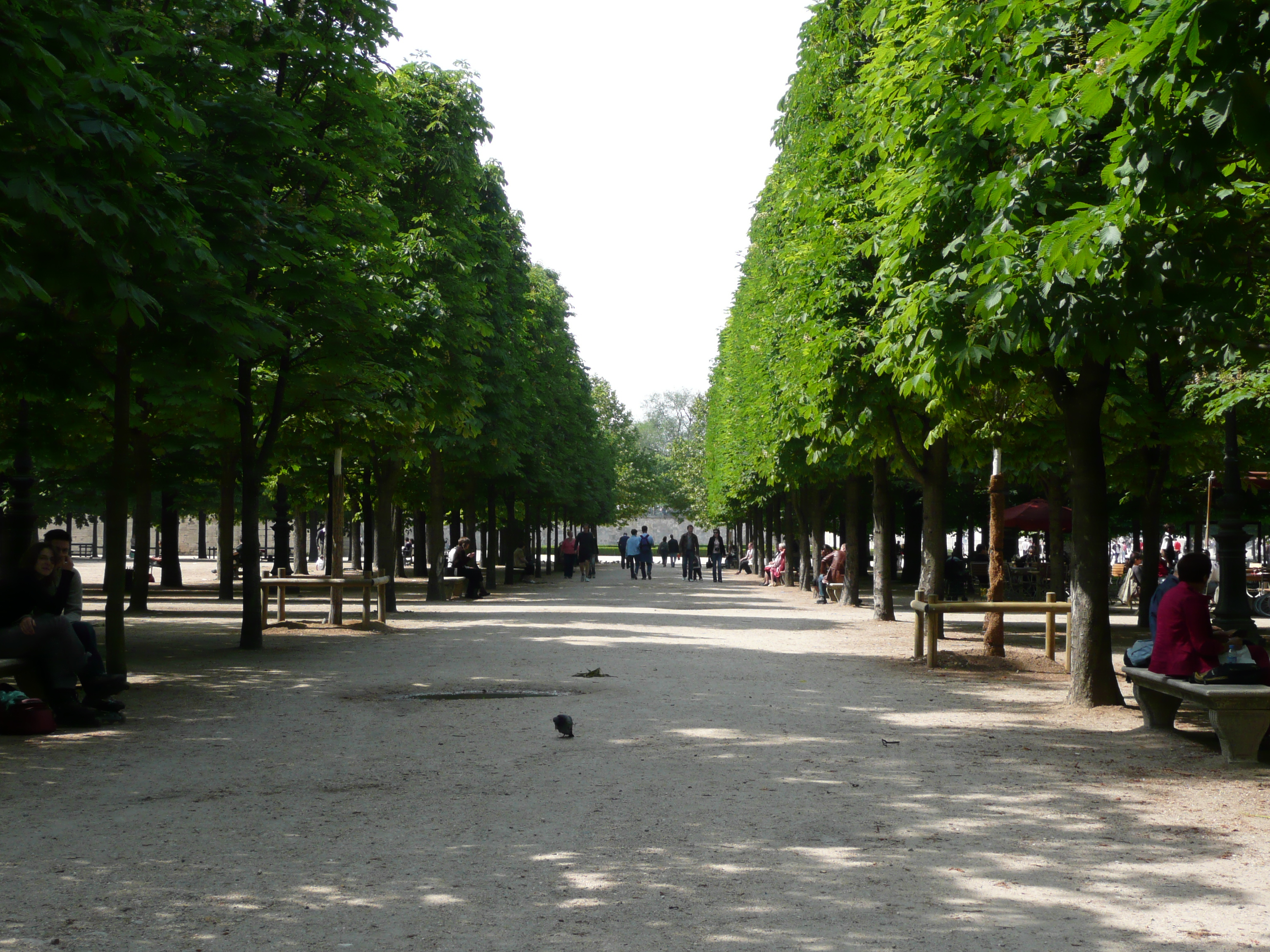 Picture France Paris Garden of Tuileries 2007-05 380 - Discovery Garden of Tuileries