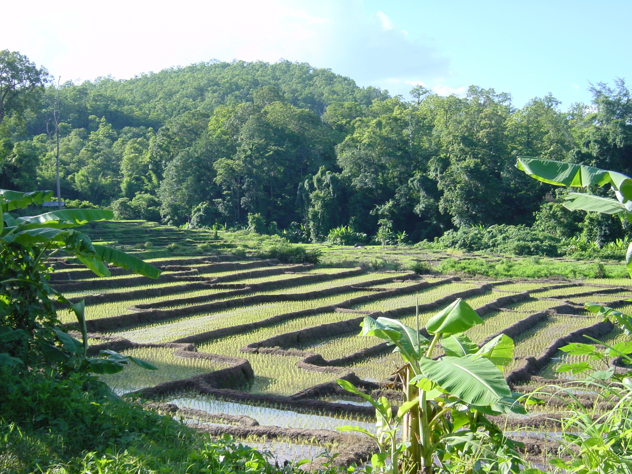 Picture Thailand Mae Hong Son 2003-07 56 - Discovery Mae Hong Son