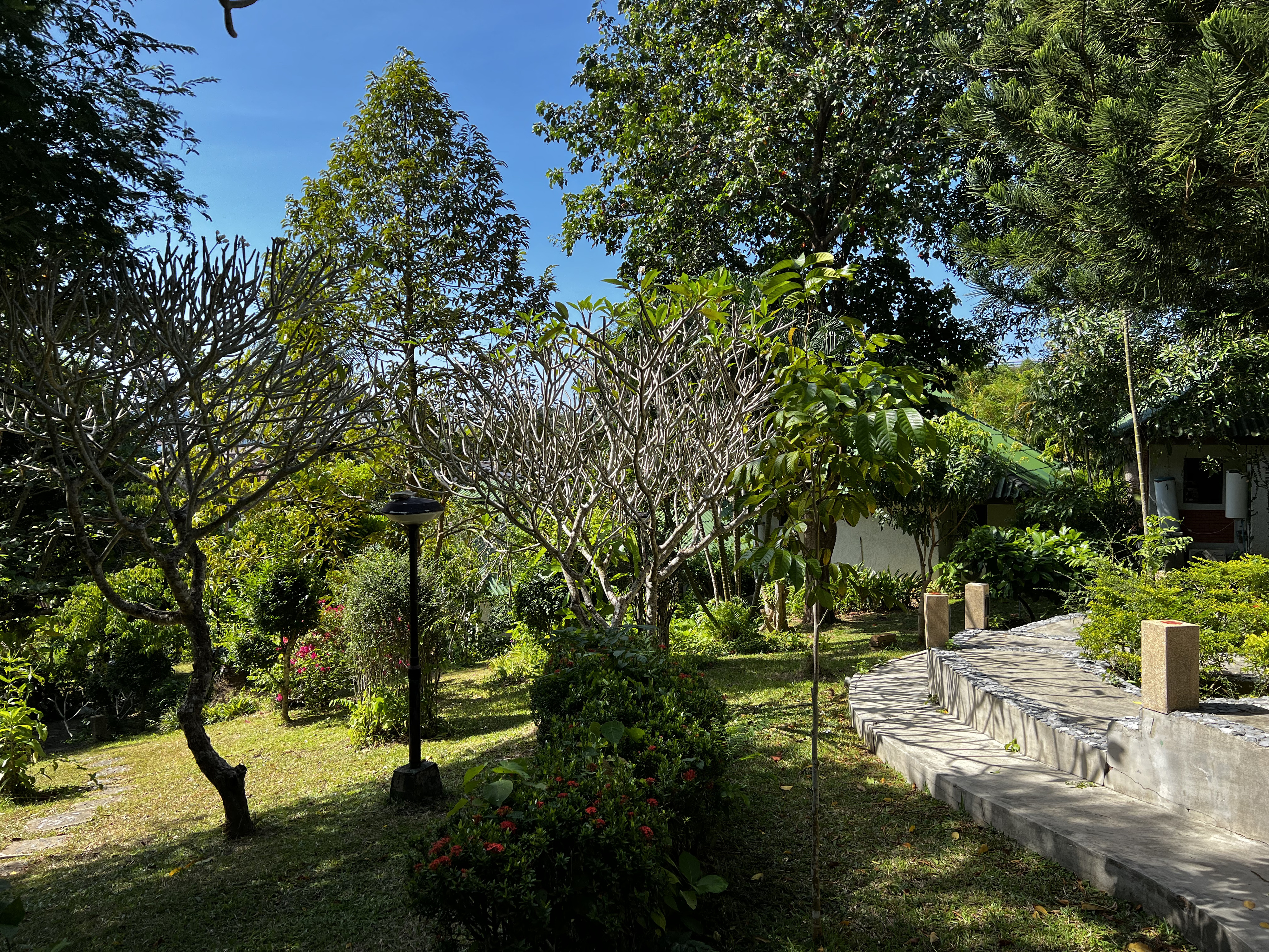 Picture Thailand Phuket Kata Beach Kata Garden Resort 2021-12 9 - Discovery Kata Garden Resort