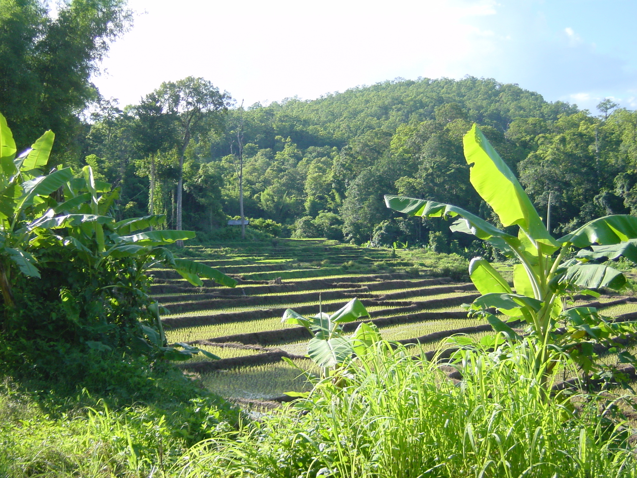 Picture Thailand Mae Hong Son 2003-07 35 - Journey Mae Hong Son