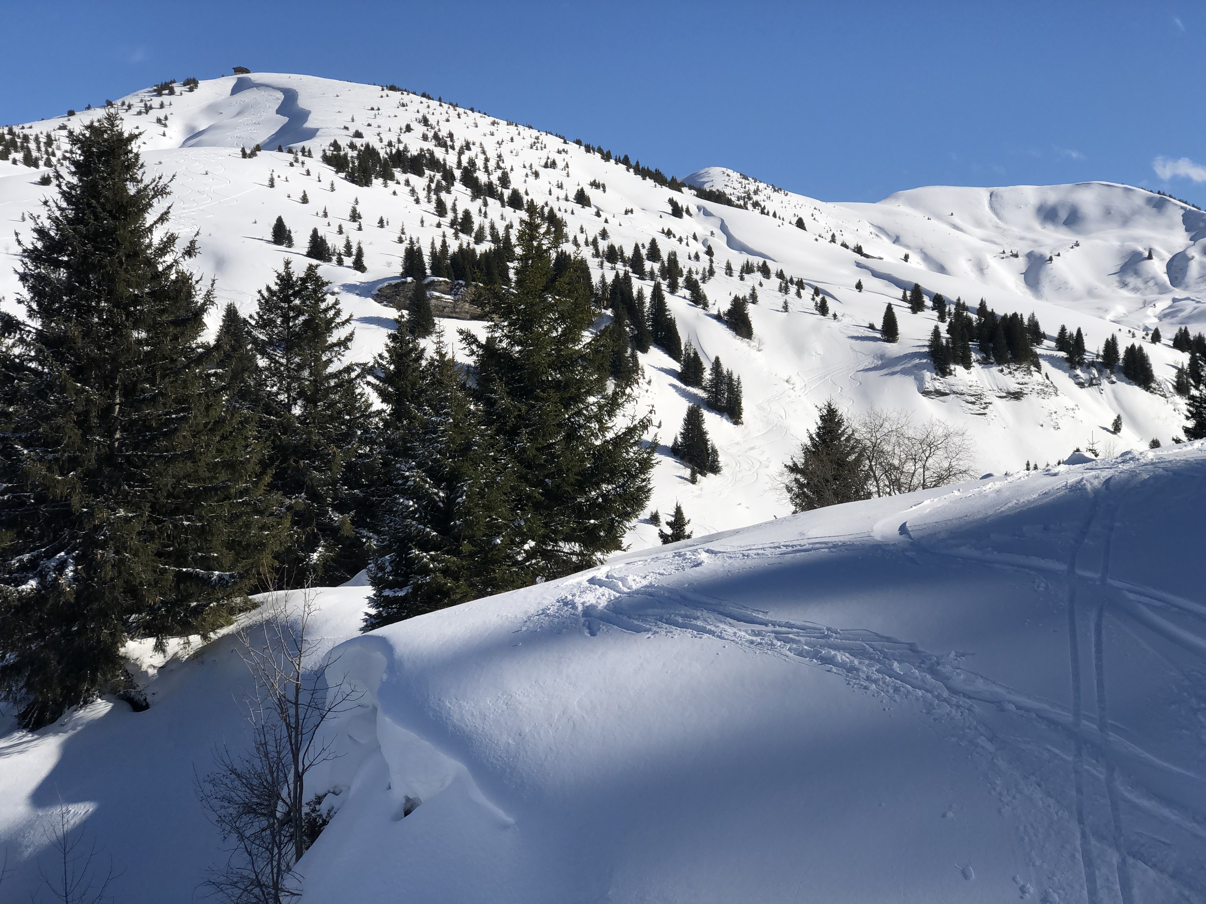 Picture France Megeve 2019-03 31 - Discovery Megeve