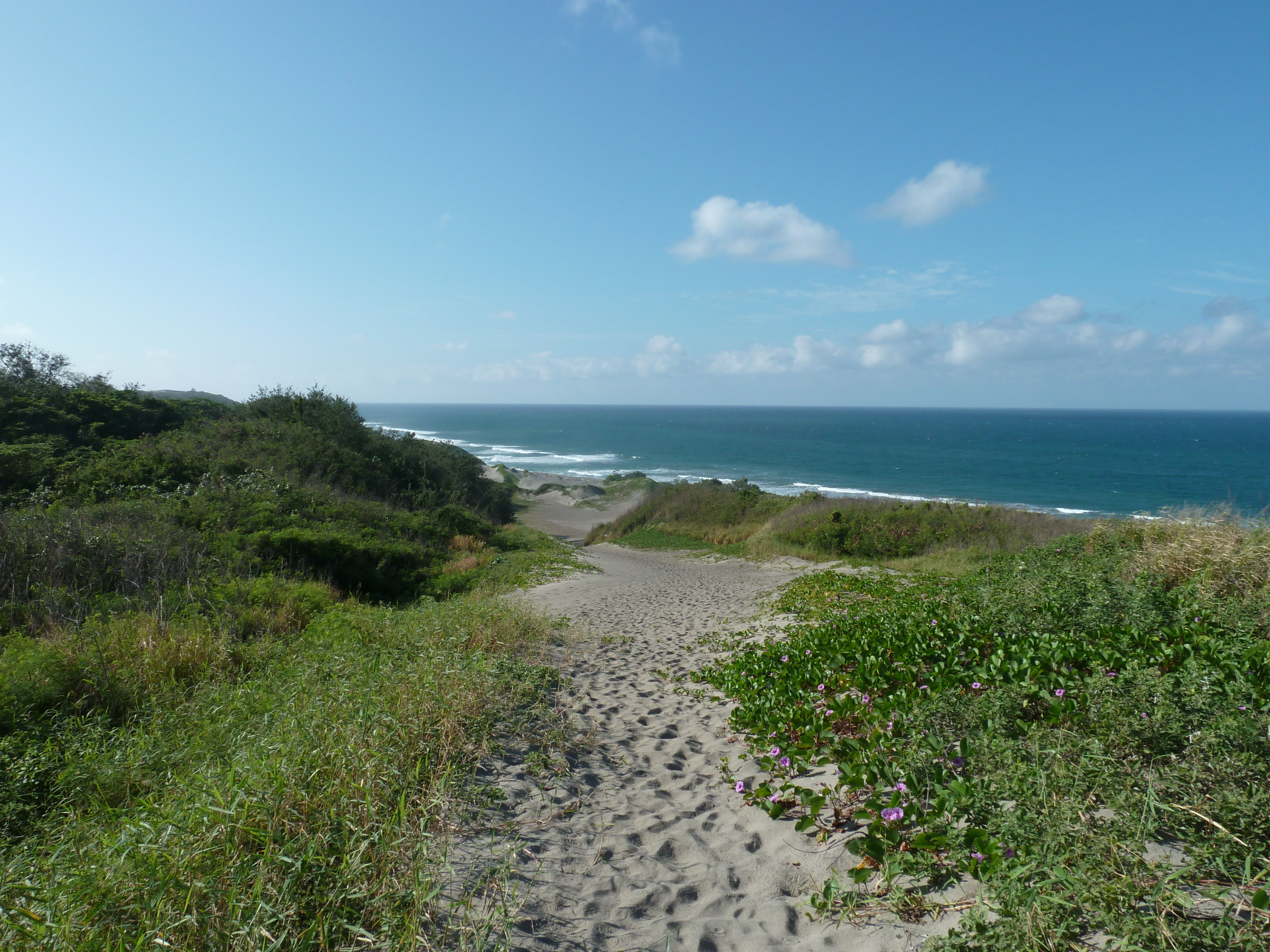 Picture Fiji Sigatoka sand dunes national park 2010-05 7 - Tours Sigatoka sand dunes national park