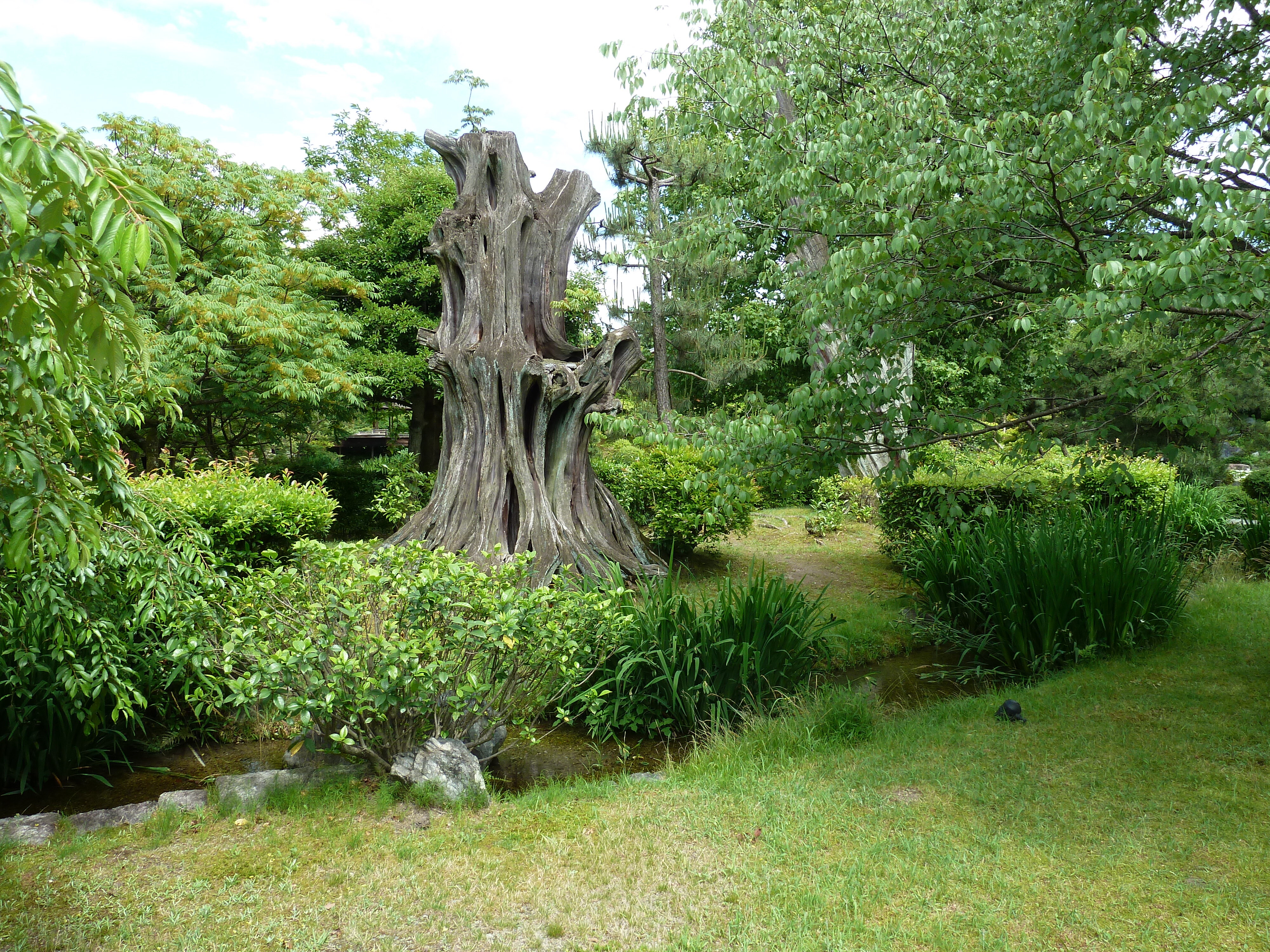 Picture Japan Kyoto Shosei en Garden 2010-06 1 - Tour Shosei en Garden