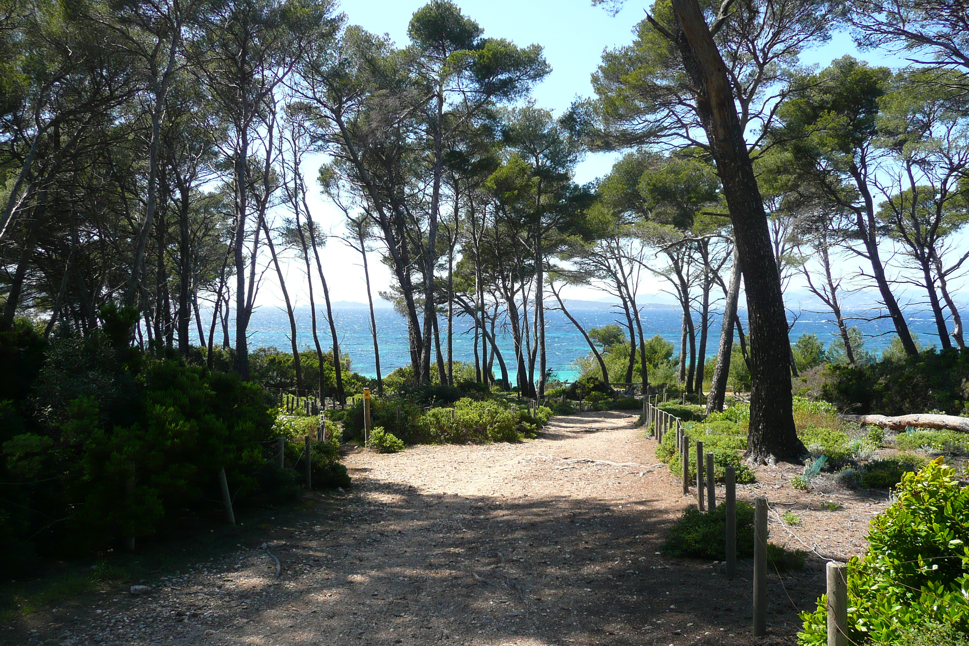 Picture France Porquerolles Island Pointe du Lequin 2008-05 67 - Discovery Pointe du Lequin