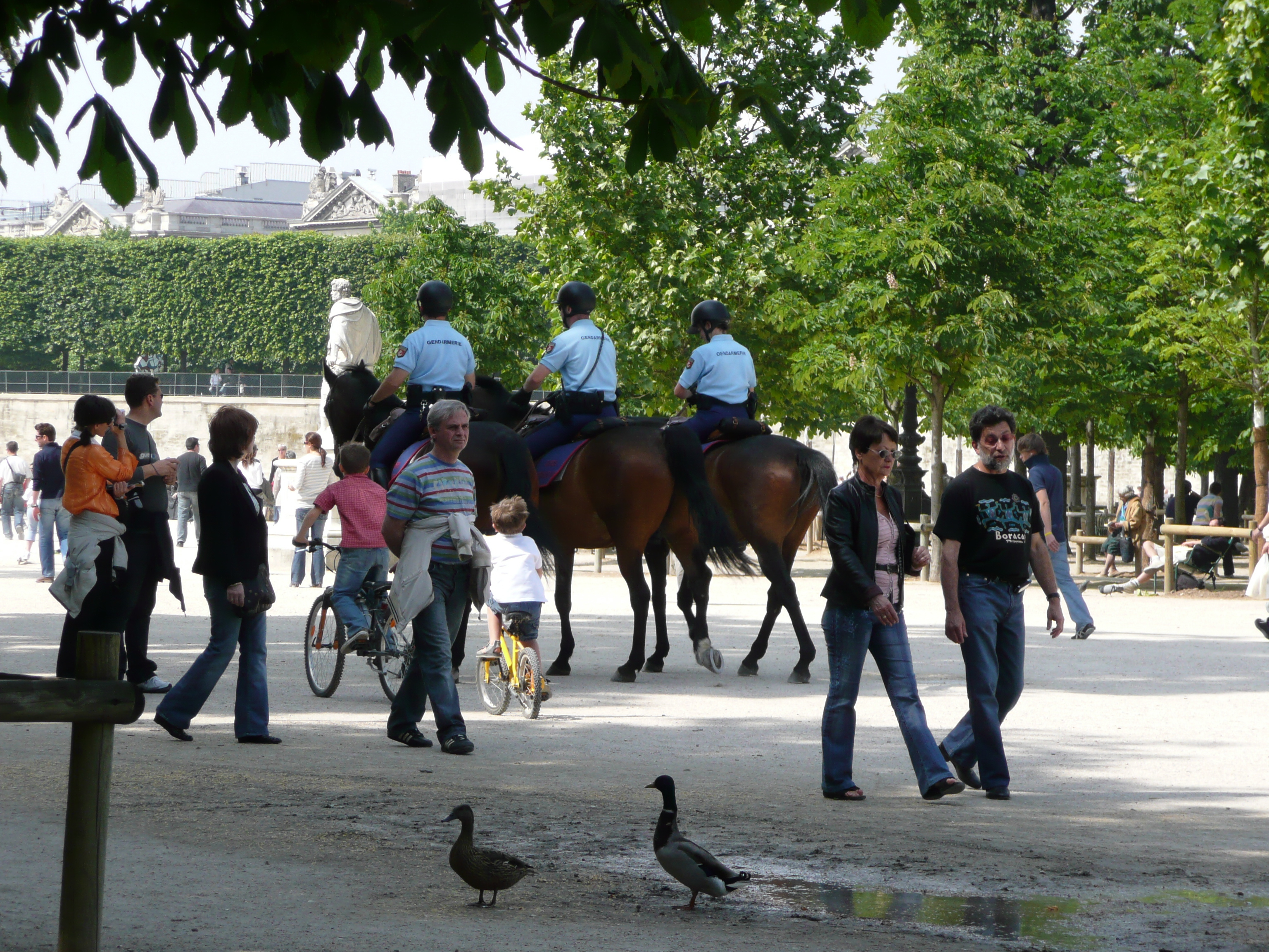 Picture France Paris Garden of Tuileries 2007-05 360 - History Garden of Tuileries