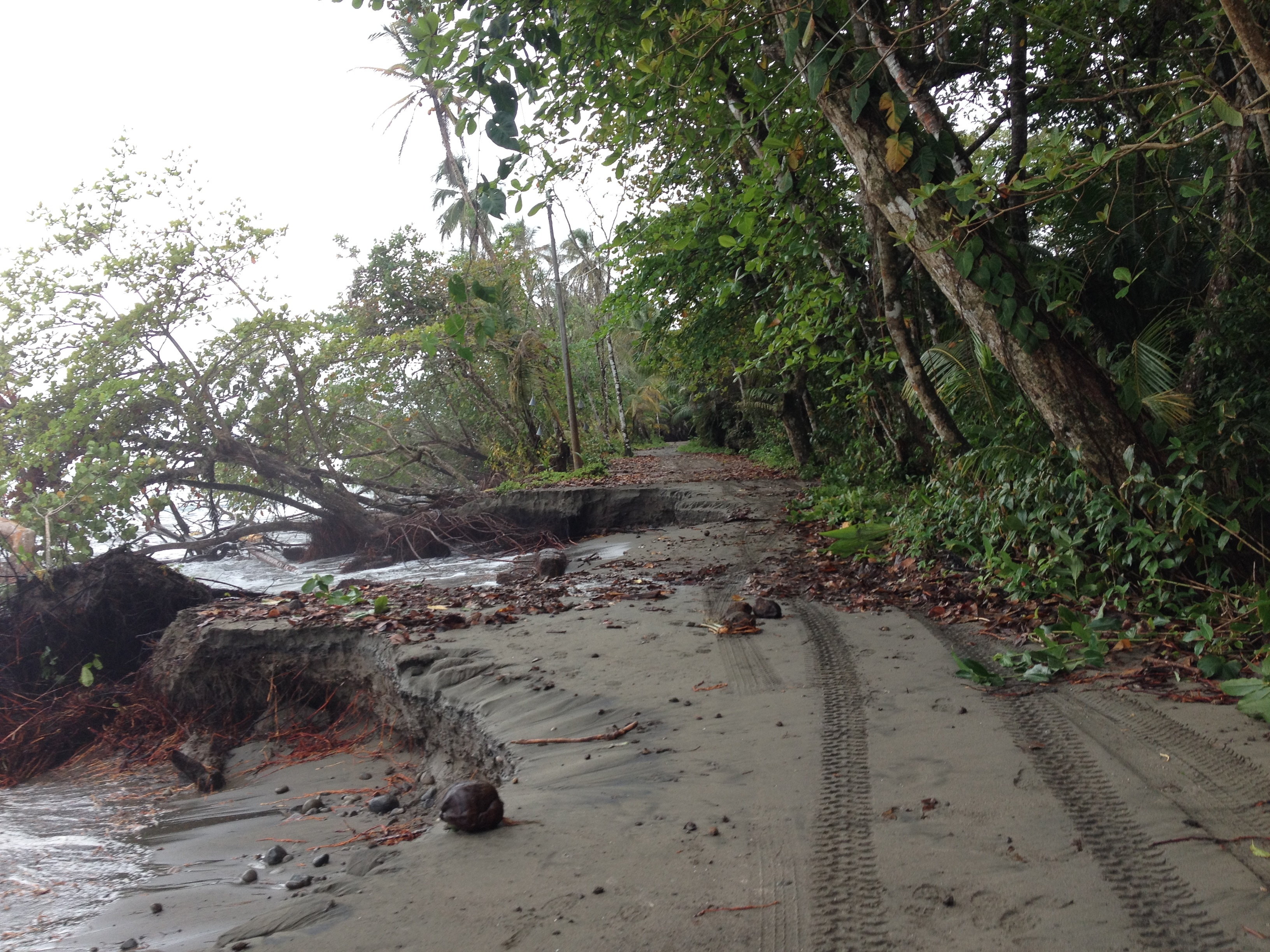 Picture Costa Rica Cahuita 2015-03 208 - Center Cahuita