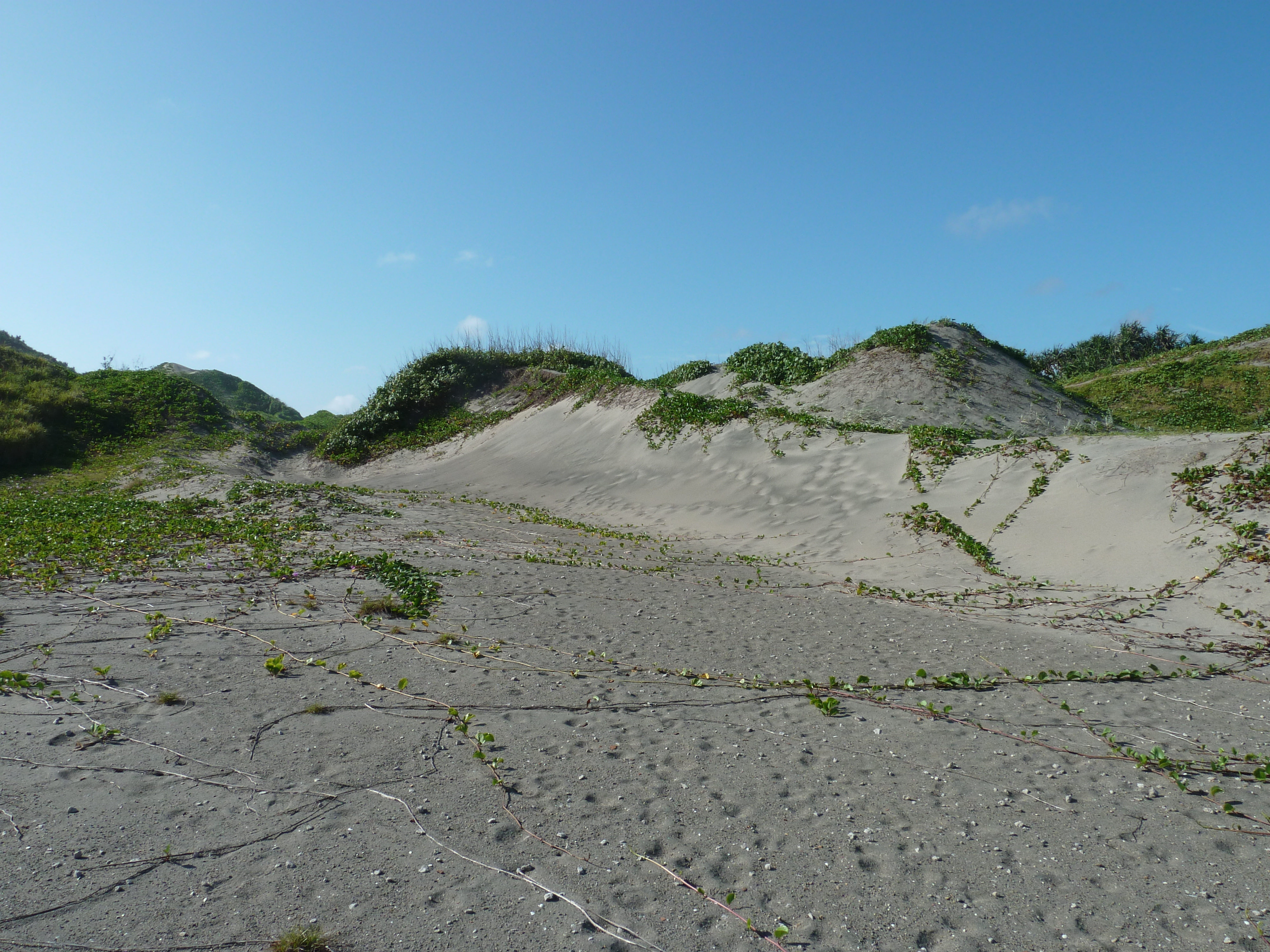 Picture Fiji Sigatoka sand dunes national park 2010-05 20 - History Sigatoka sand dunes national park