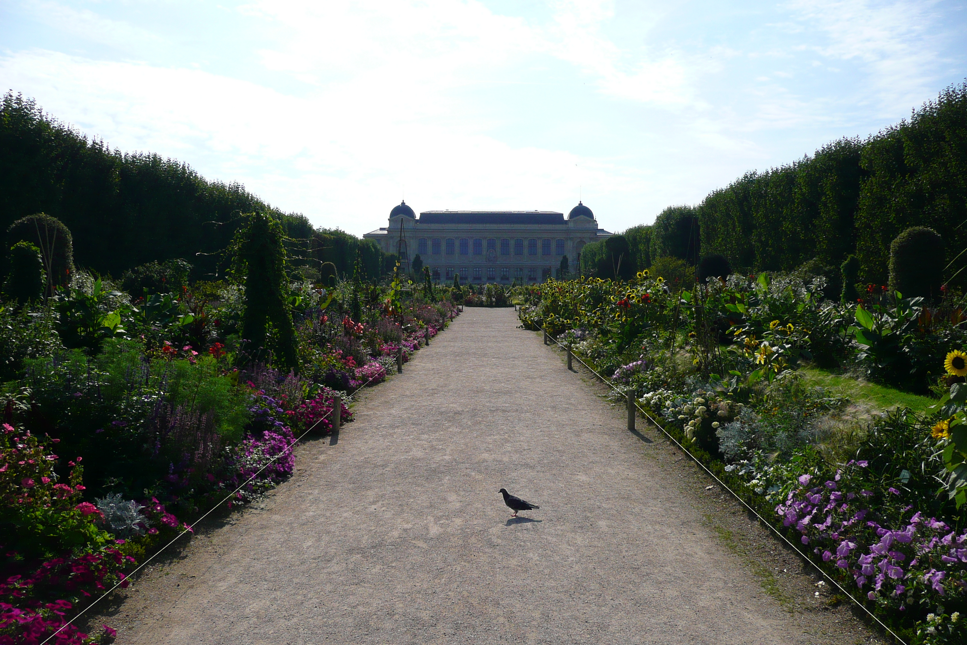 Picture France Paris Jardin des Plantes 2007-08 207 - Around Jardin des Plantes