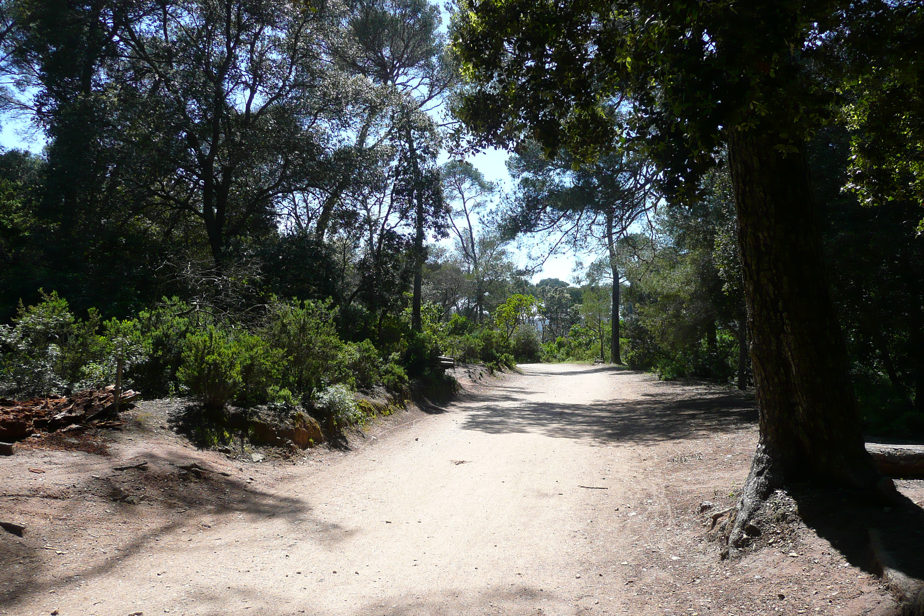 Picture France Porquerolles Island Plaine de la courtade 2008-05 31 - Center Plaine de la courtade