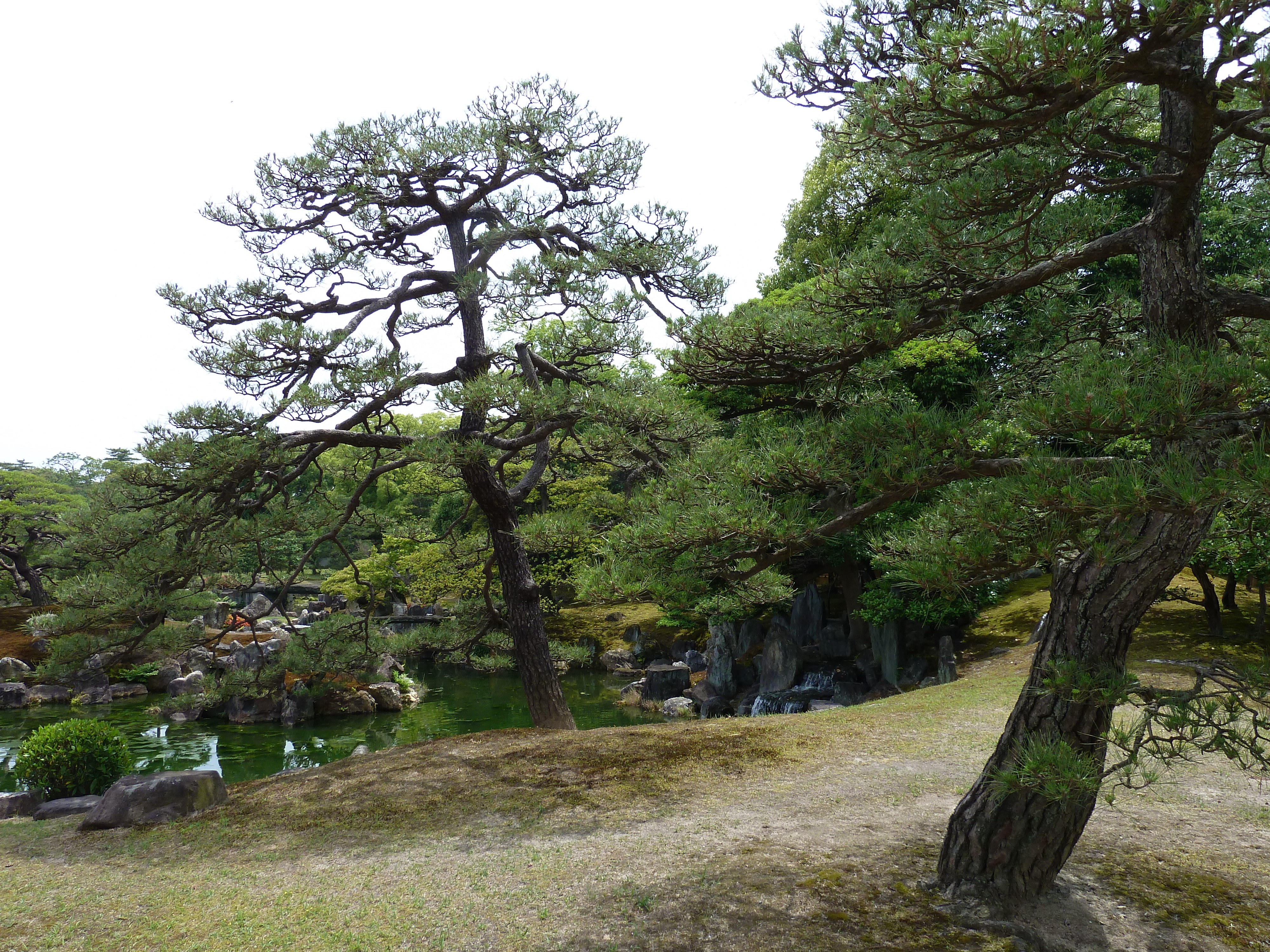 Picture Japan Kyoto Nijo Castle Ninomaru Garden 2010-06 25 - Journey Ninomaru Garden