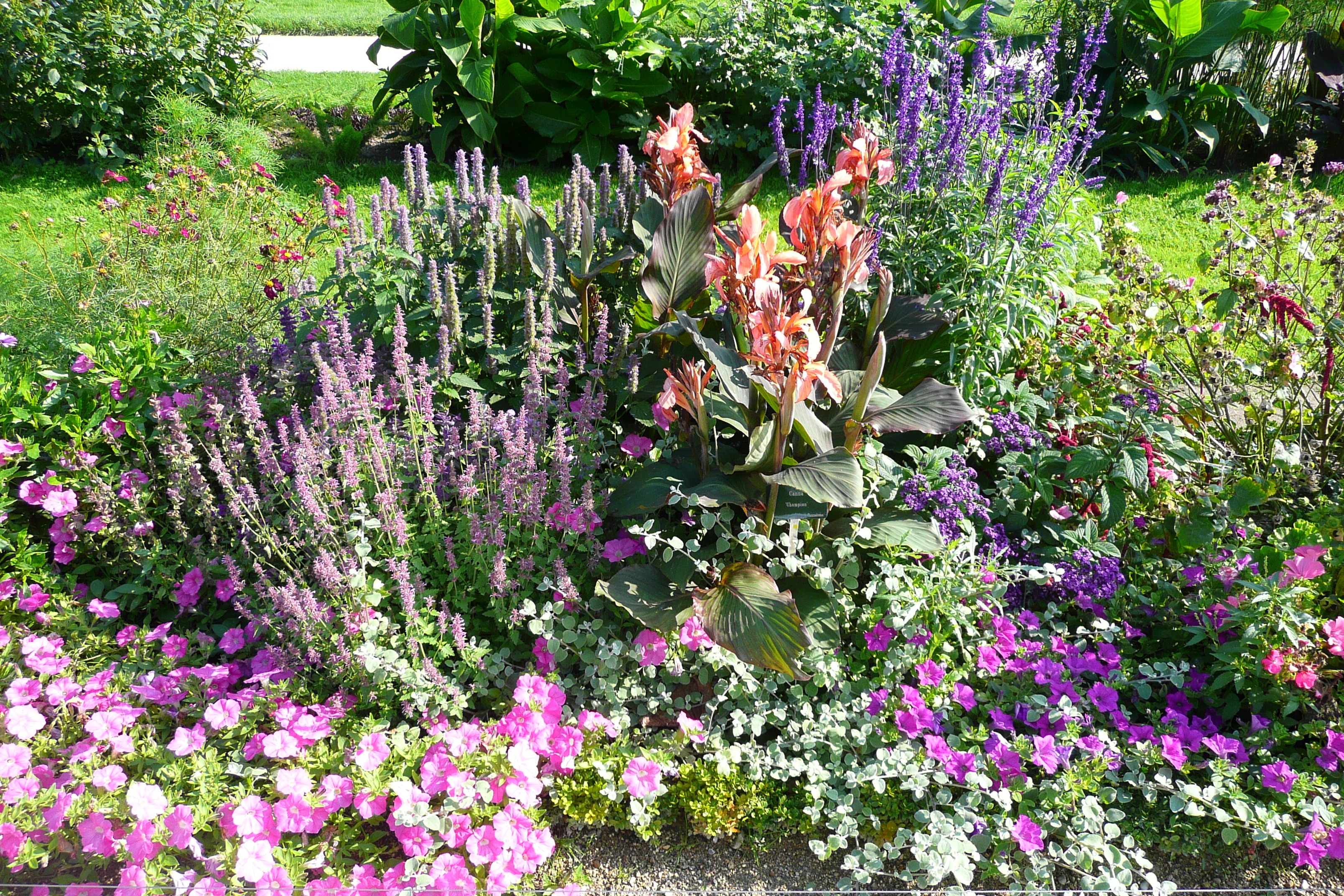 Picture France Paris Jardin des Plantes 2007-08 212 - Tours Jardin des Plantes