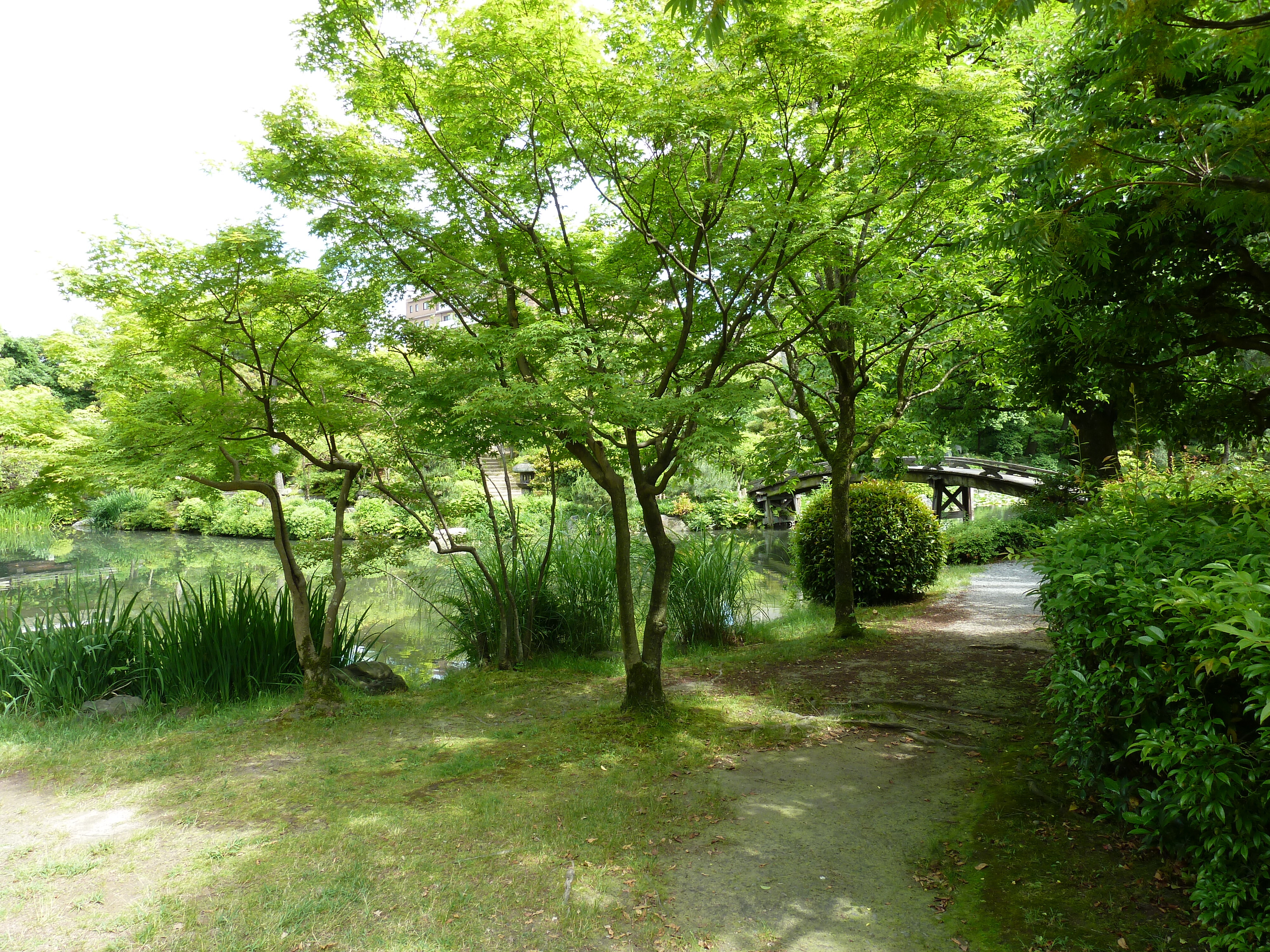 Picture Japan Kyoto Shosei en Garden 2010-06 16 - Discovery Shosei en Garden