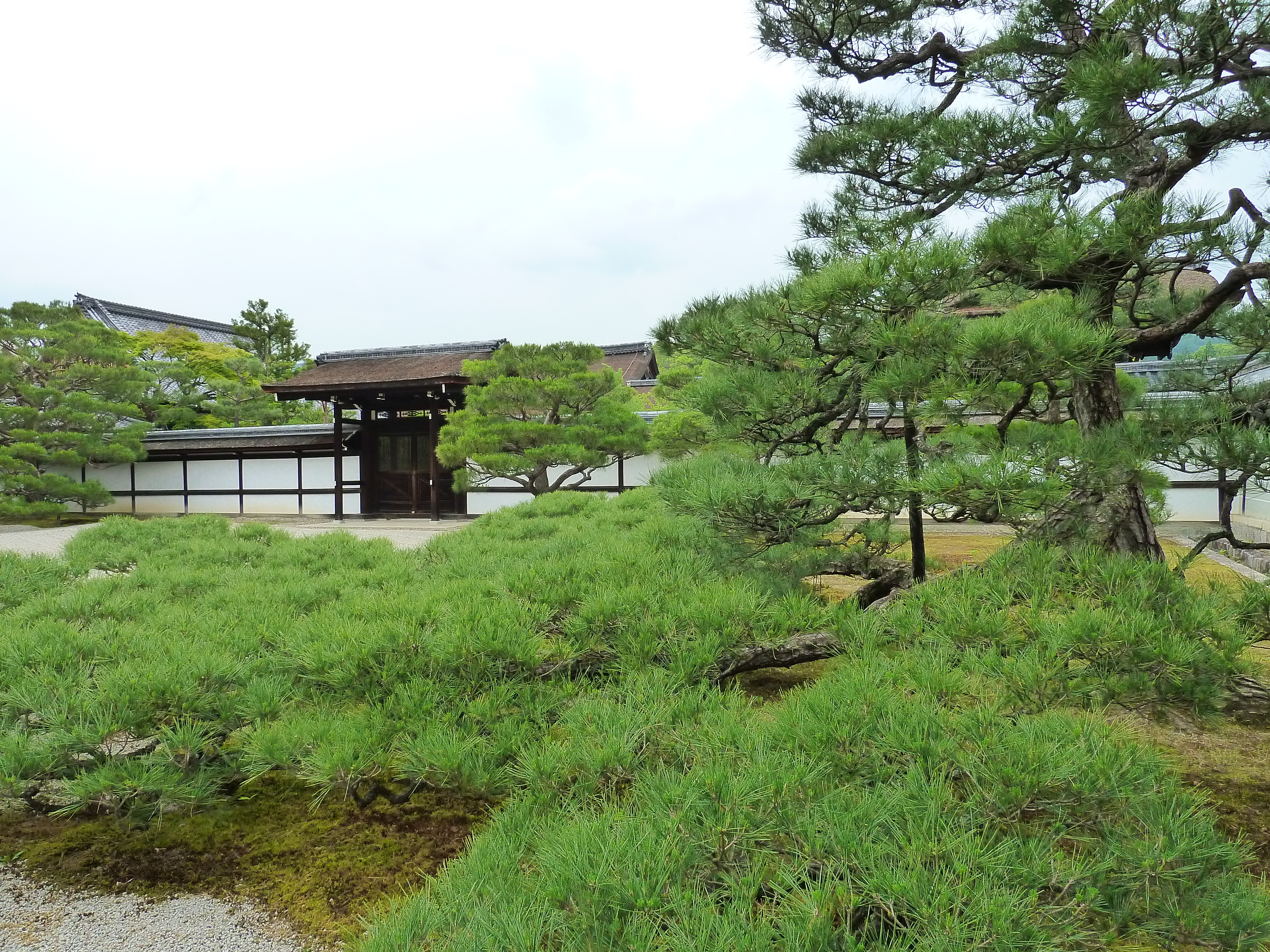 Picture Japan Kyoto Ninna ji imperial Residence 2010-06 75 - Journey Ninna ji imperial Residence