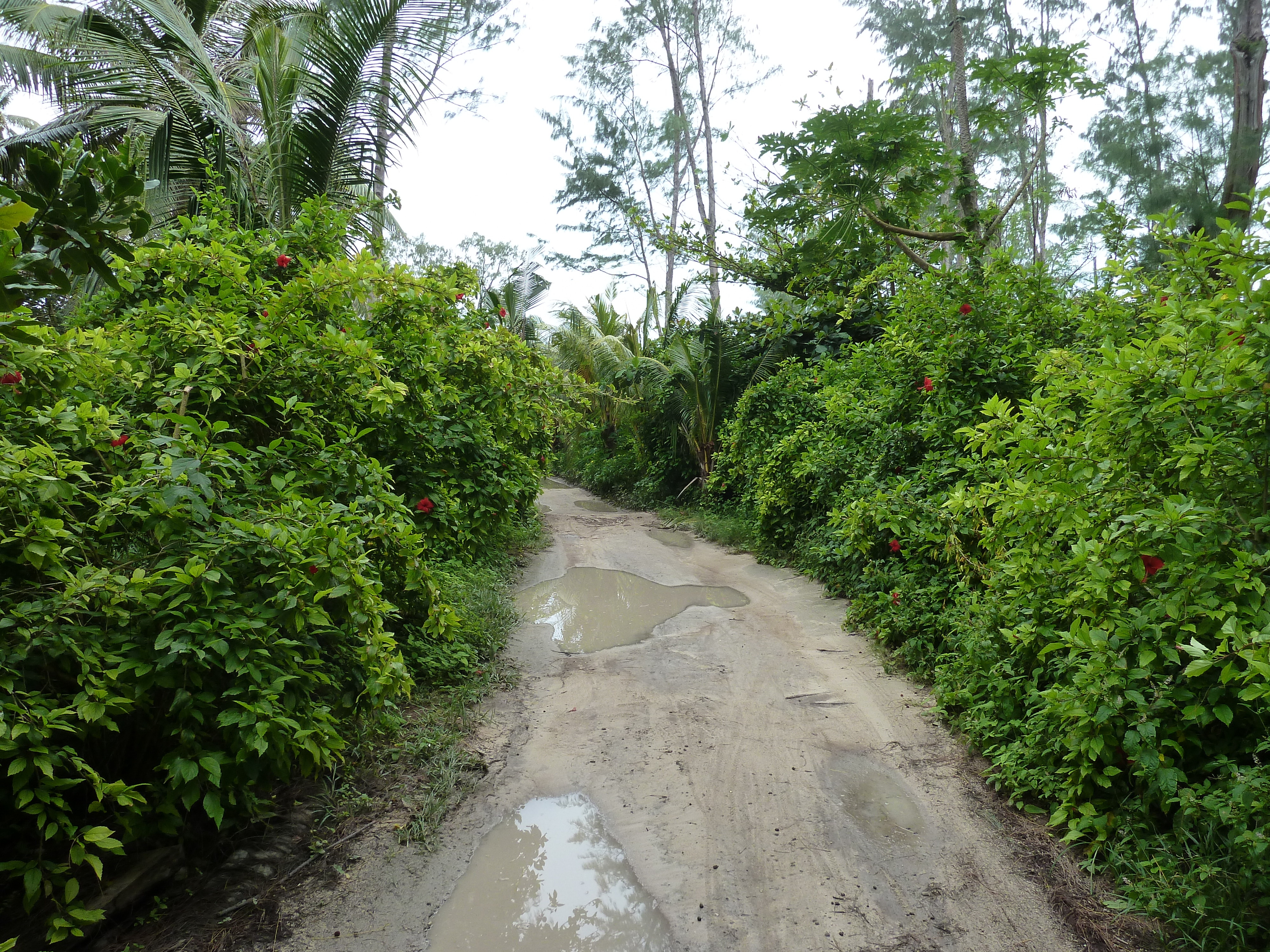 Picture Seychelles La Digue 2011-10 107 - History La Digue