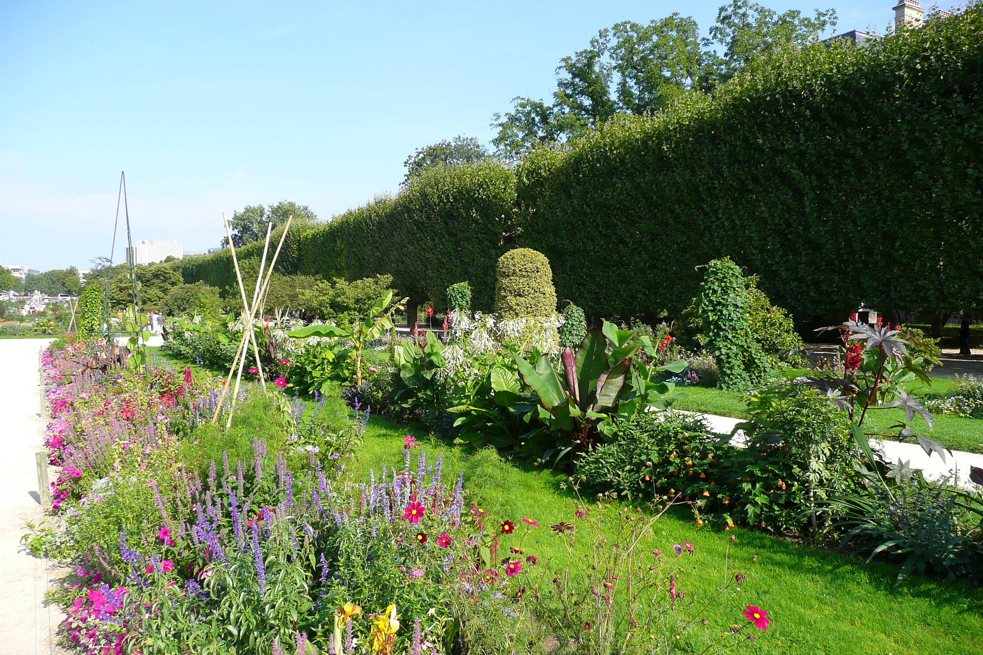 Picture France Paris Jardin des Plantes 2007-08 20 - Tours Jardin des Plantes