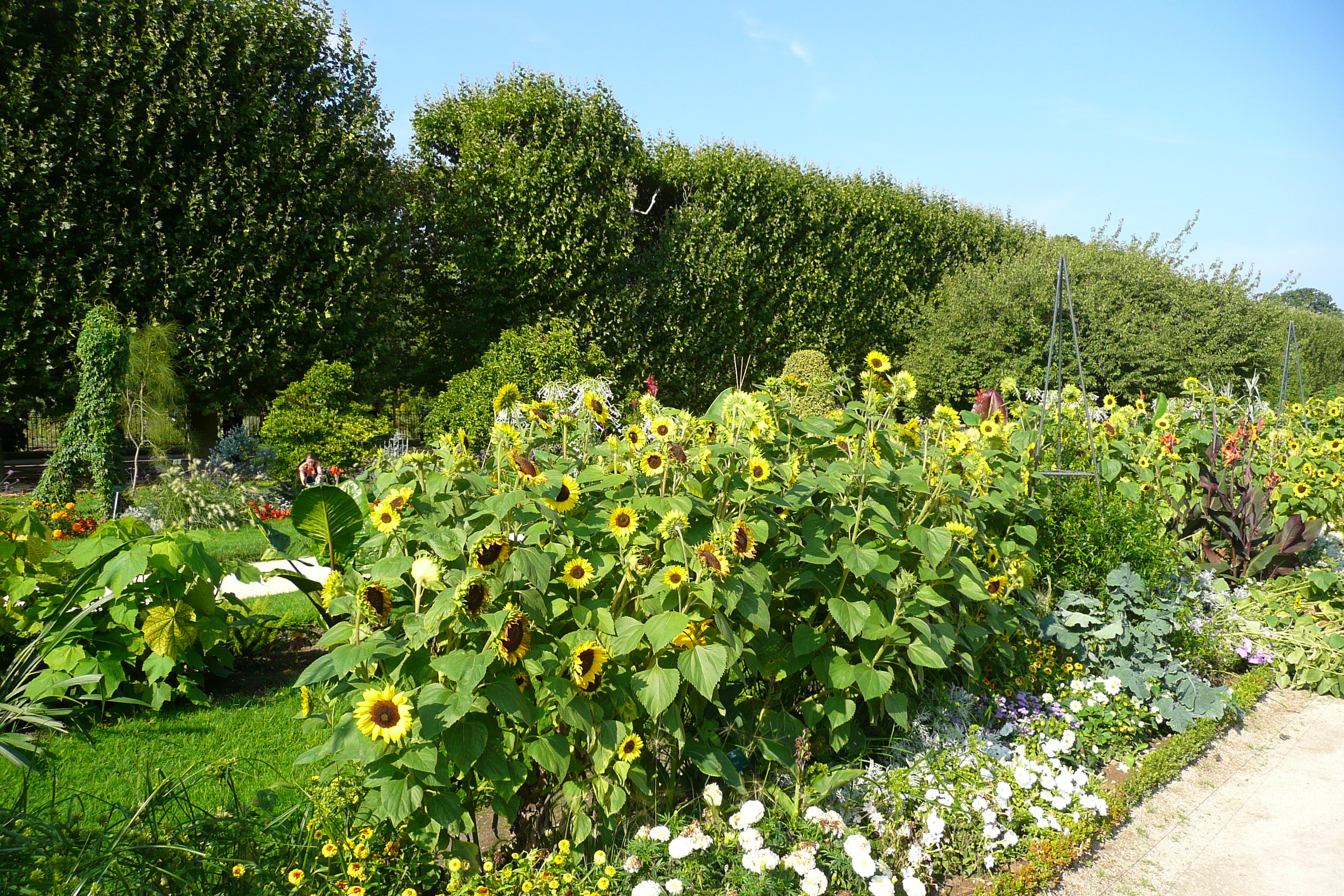 Picture France Paris Jardin des Plantes 2007-08 21 - Tour Jardin des Plantes