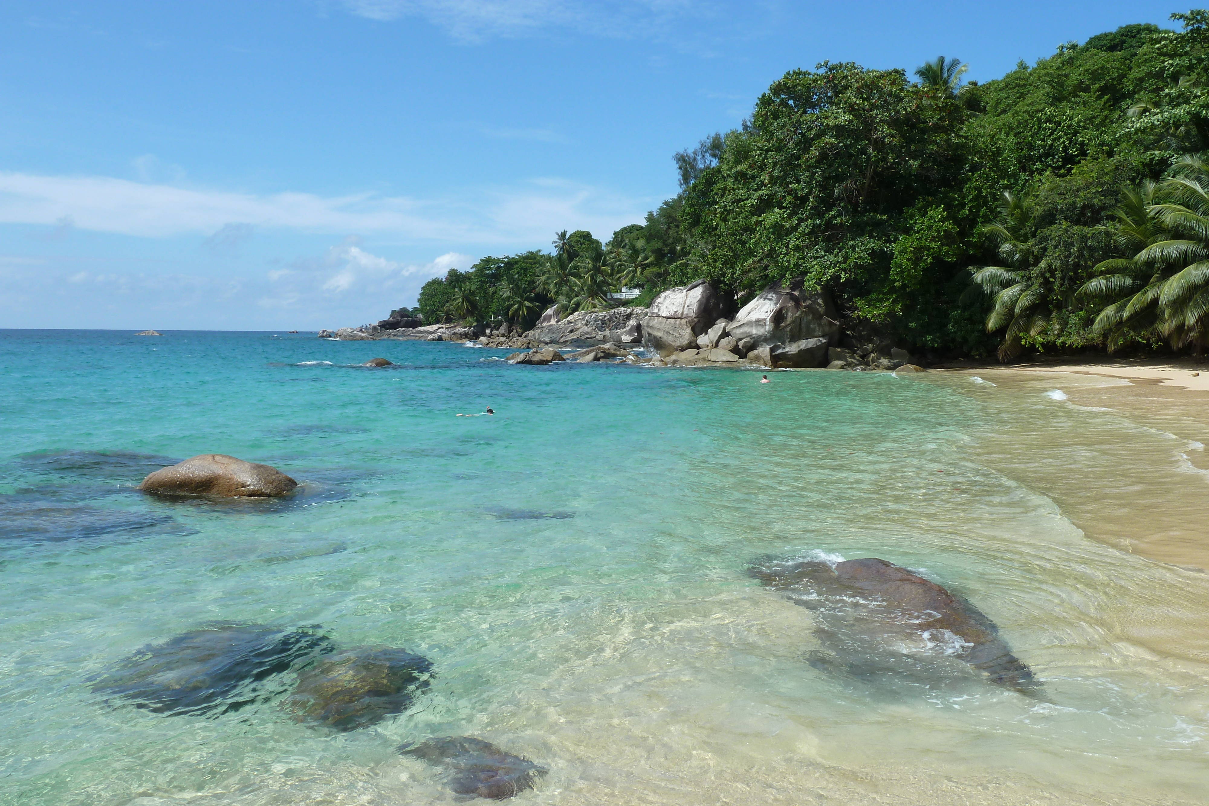 Picture Seychelles Mahe 2011-10 208 - Discovery Mahe