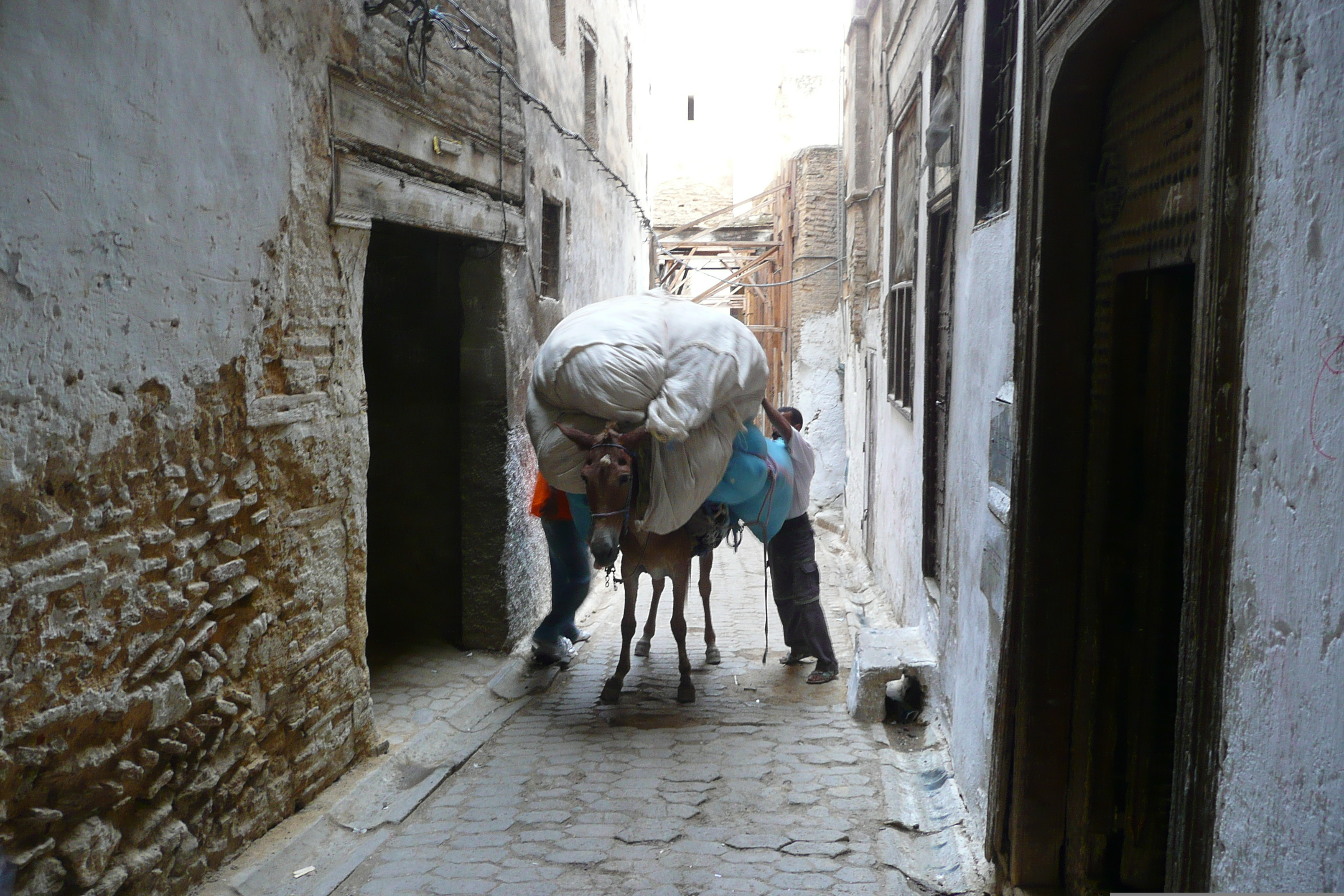 Picture Morocco Fes Fes Medina 2008-07 128 - Discovery Fes Medina