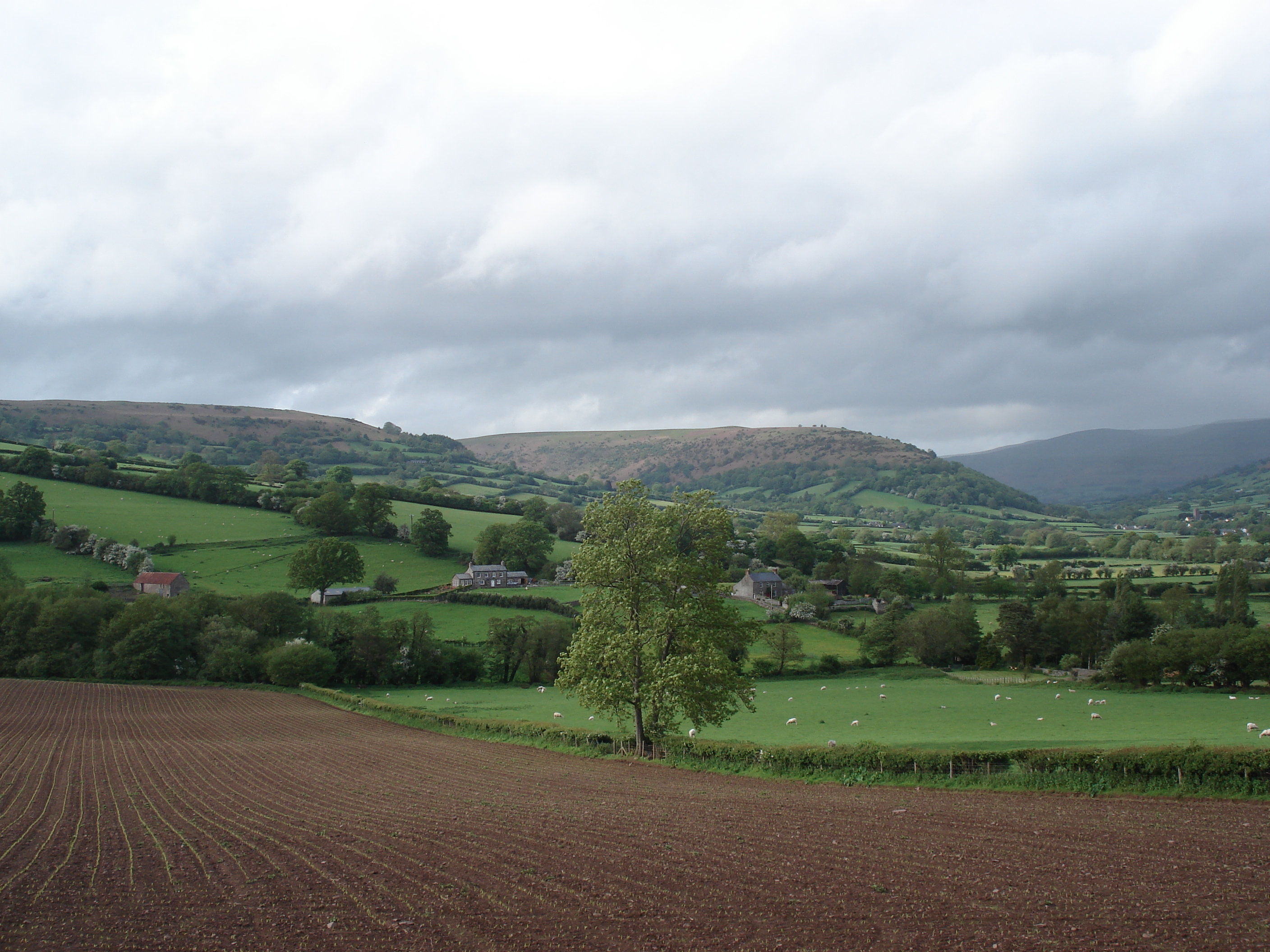 Picture United Kingdom Brecon Beacons National Parc 2006-05 41 - Tour Brecon Beacons National Parc