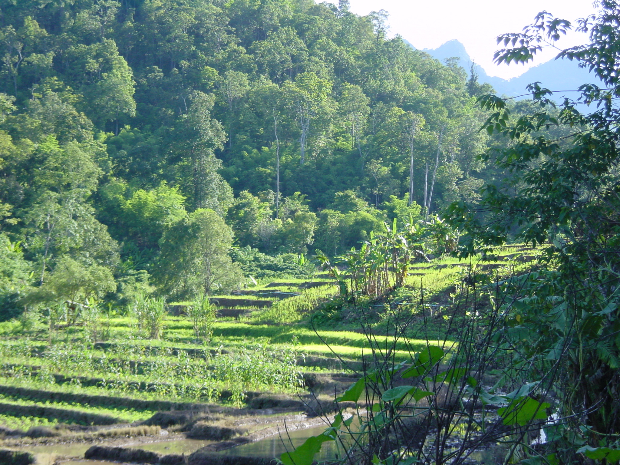 Picture Thailand Mae Hong Son 2003-07 47 - Around Mae Hong Son