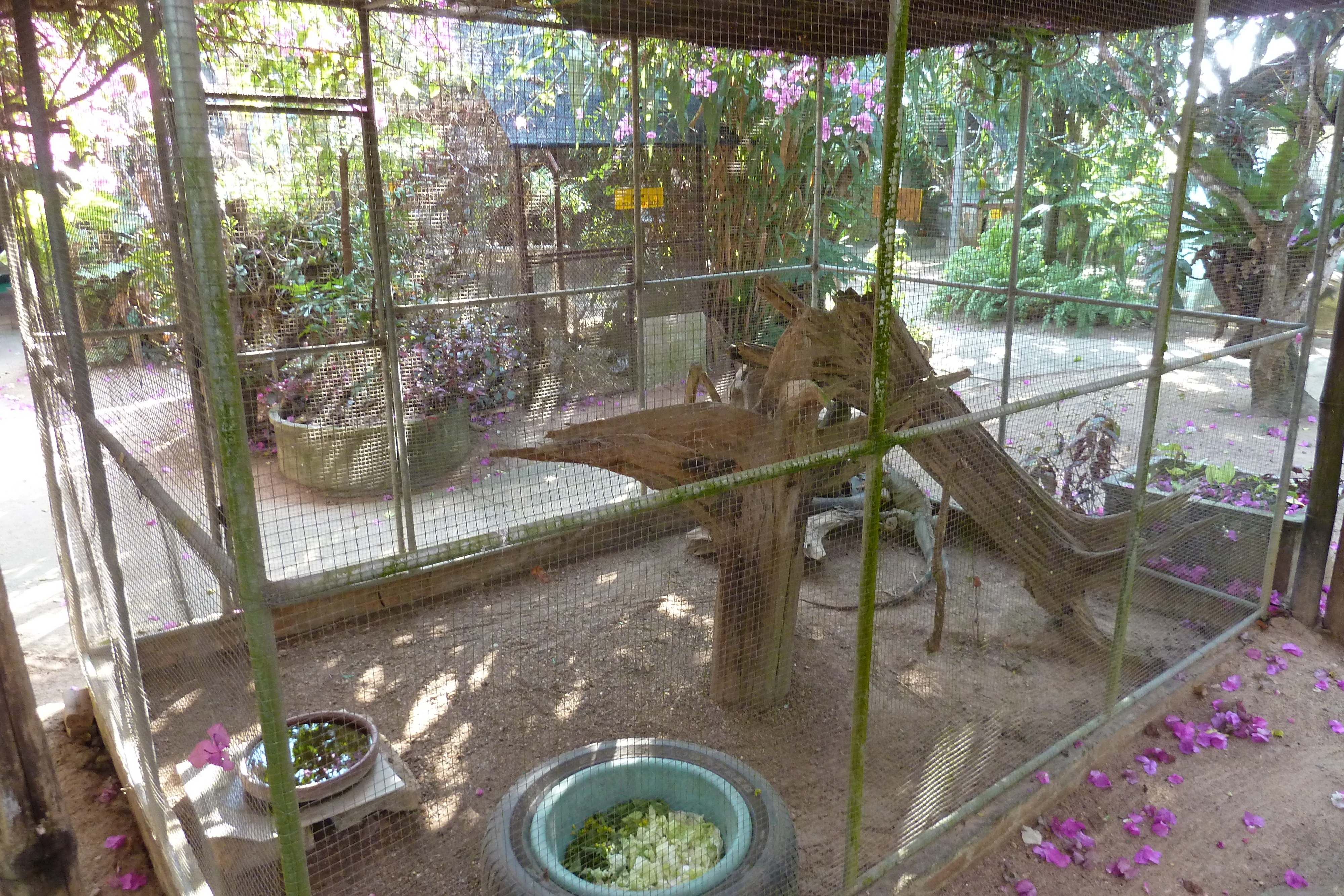 Picture Thailand Chiang Mai Mae Sa Snake Farm 2010-12 1 - Tours Mae Sa Snake Farm