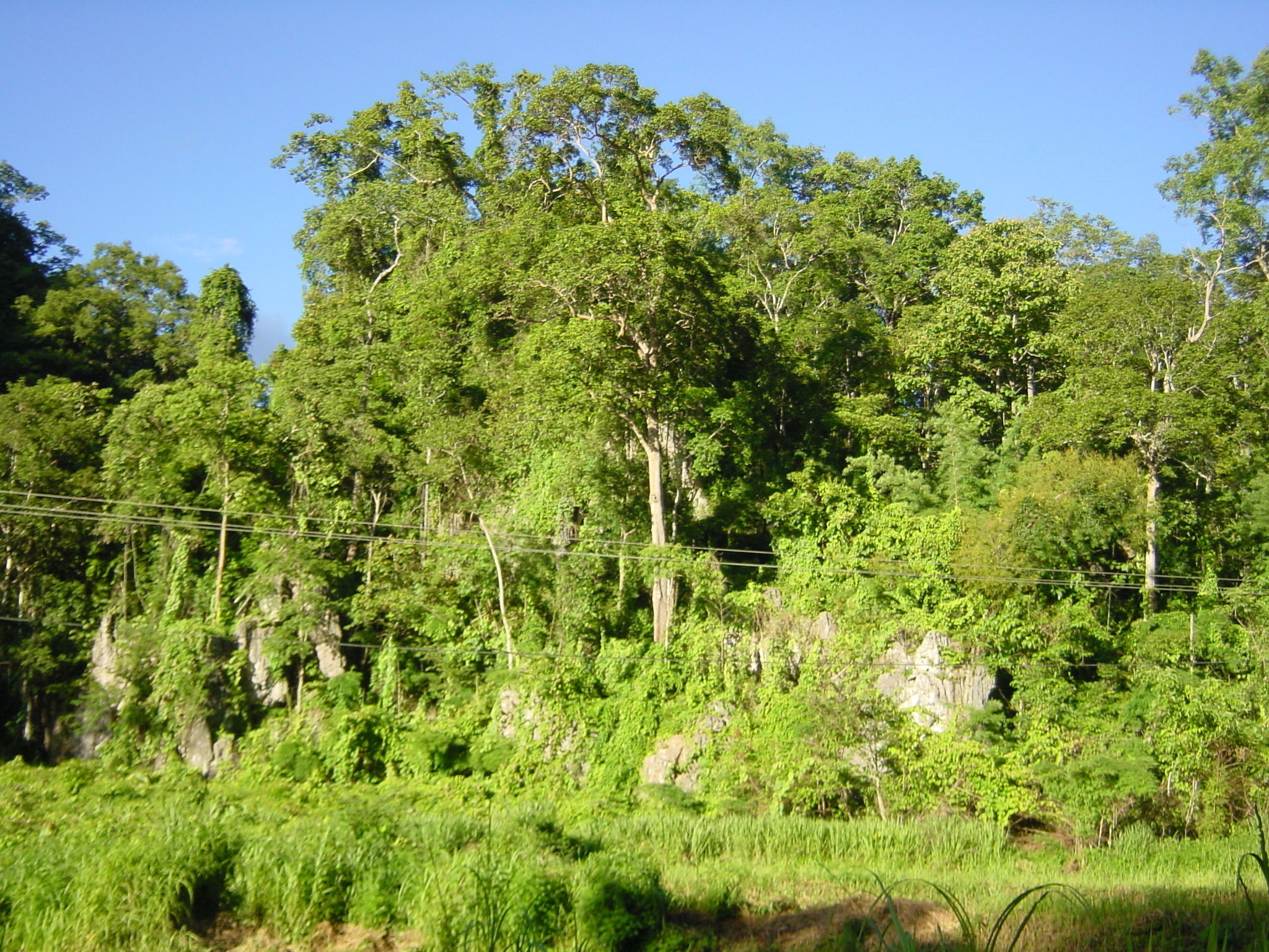 Picture Thailand Mae Hong Son 2003-07 51 - Tours Mae Hong Son