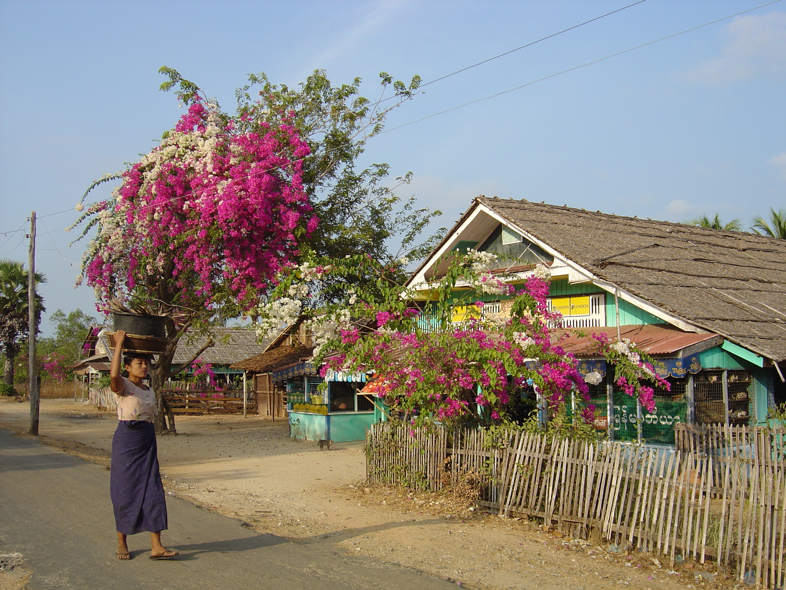 Picture Myanmar Maungmagan beach 2005-01 42 - Recreation Maungmagan beach