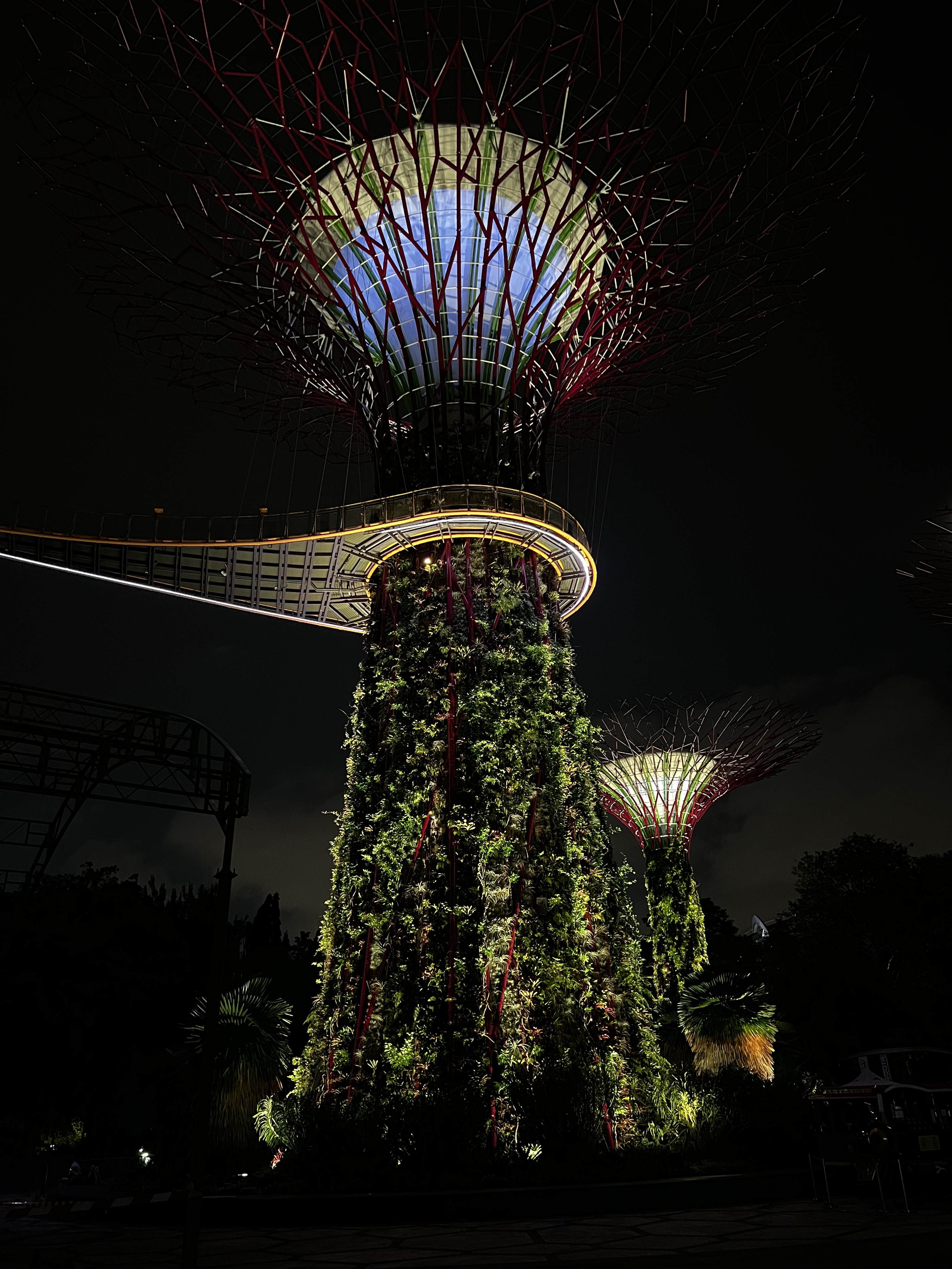 Picture Singapore Garden by the bay 2023-01 39 - Tour Garden by the bay