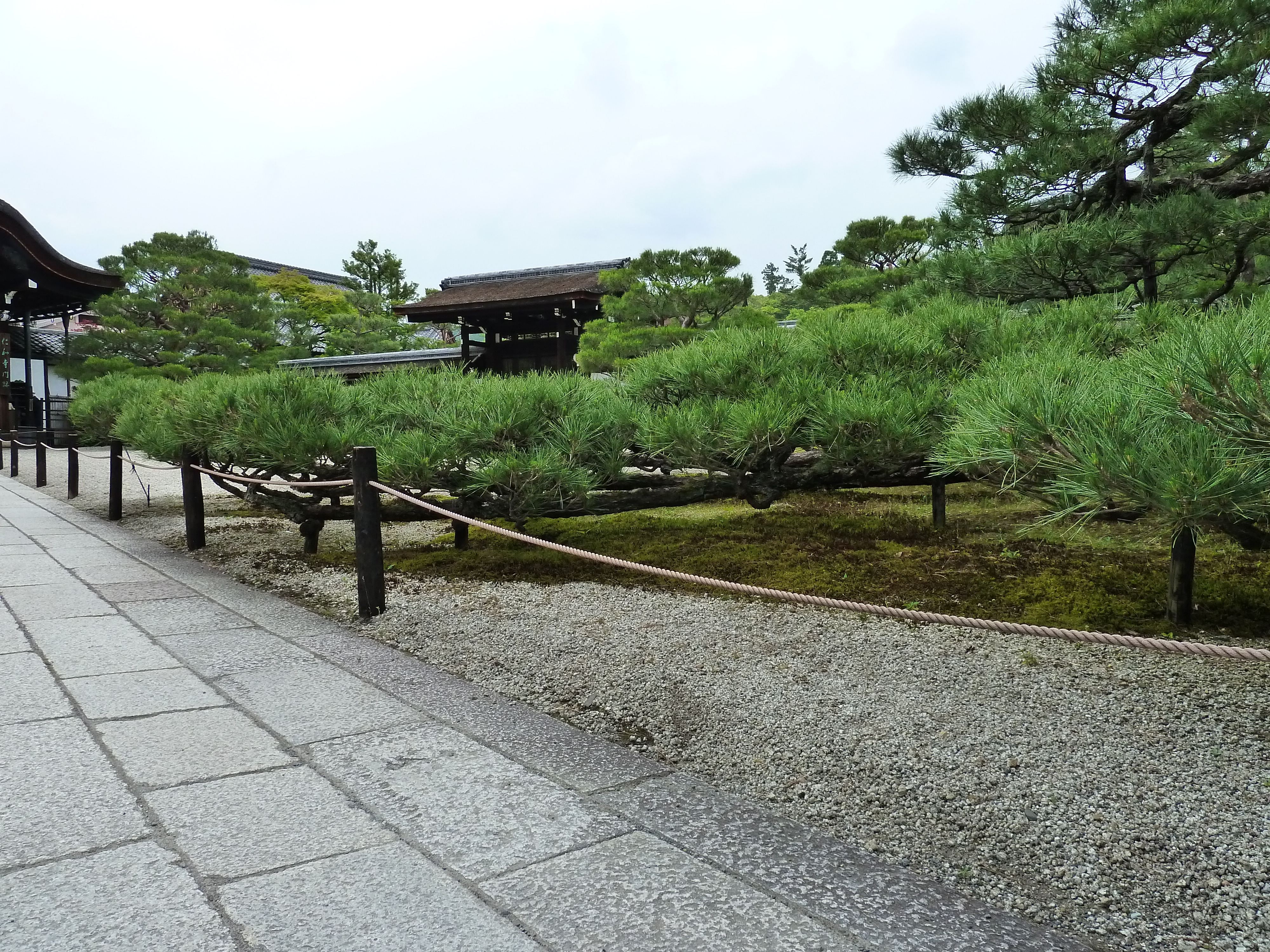 Picture Japan Kyoto Ninna ji imperial Residence 2010-06 30 - Tours Ninna ji imperial Residence