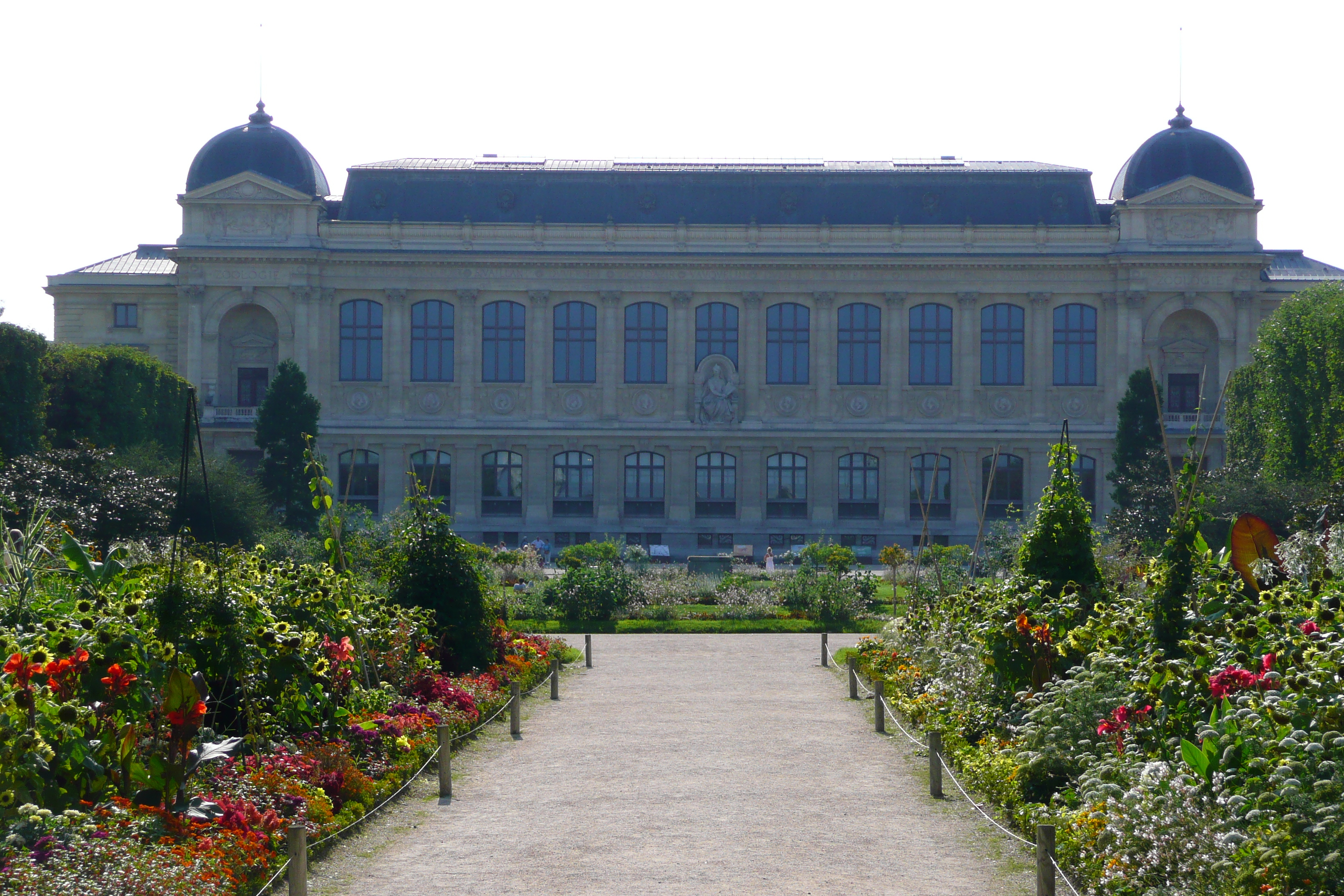 Picture France Paris Jardin des Plantes 2007-08 35 - Recreation Jardin des Plantes