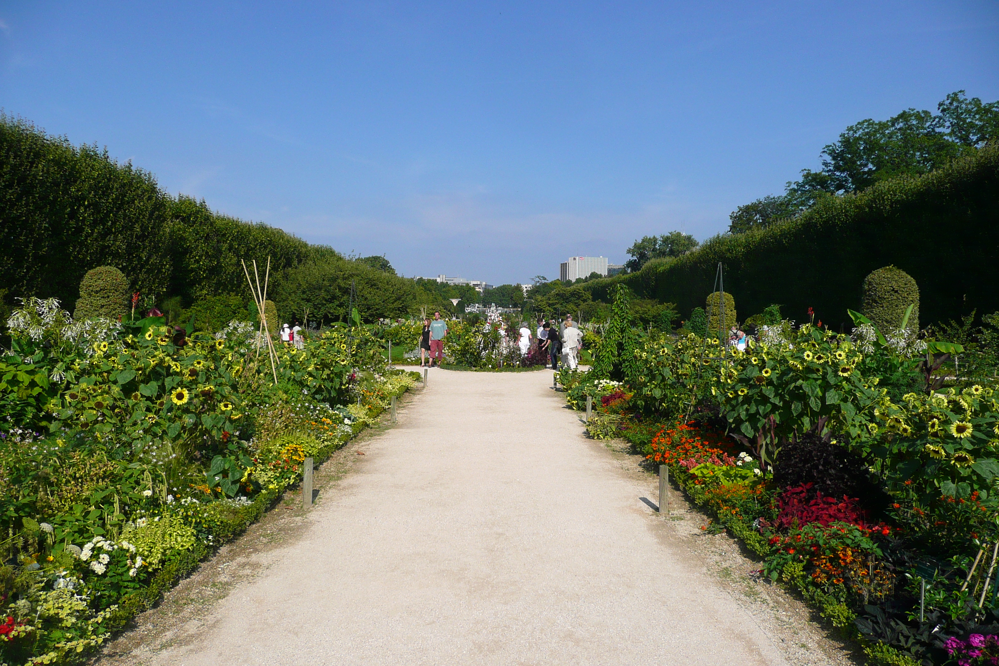 Picture France Paris Jardin des Plantes 2007-08 49 - Recreation Jardin des Plantes