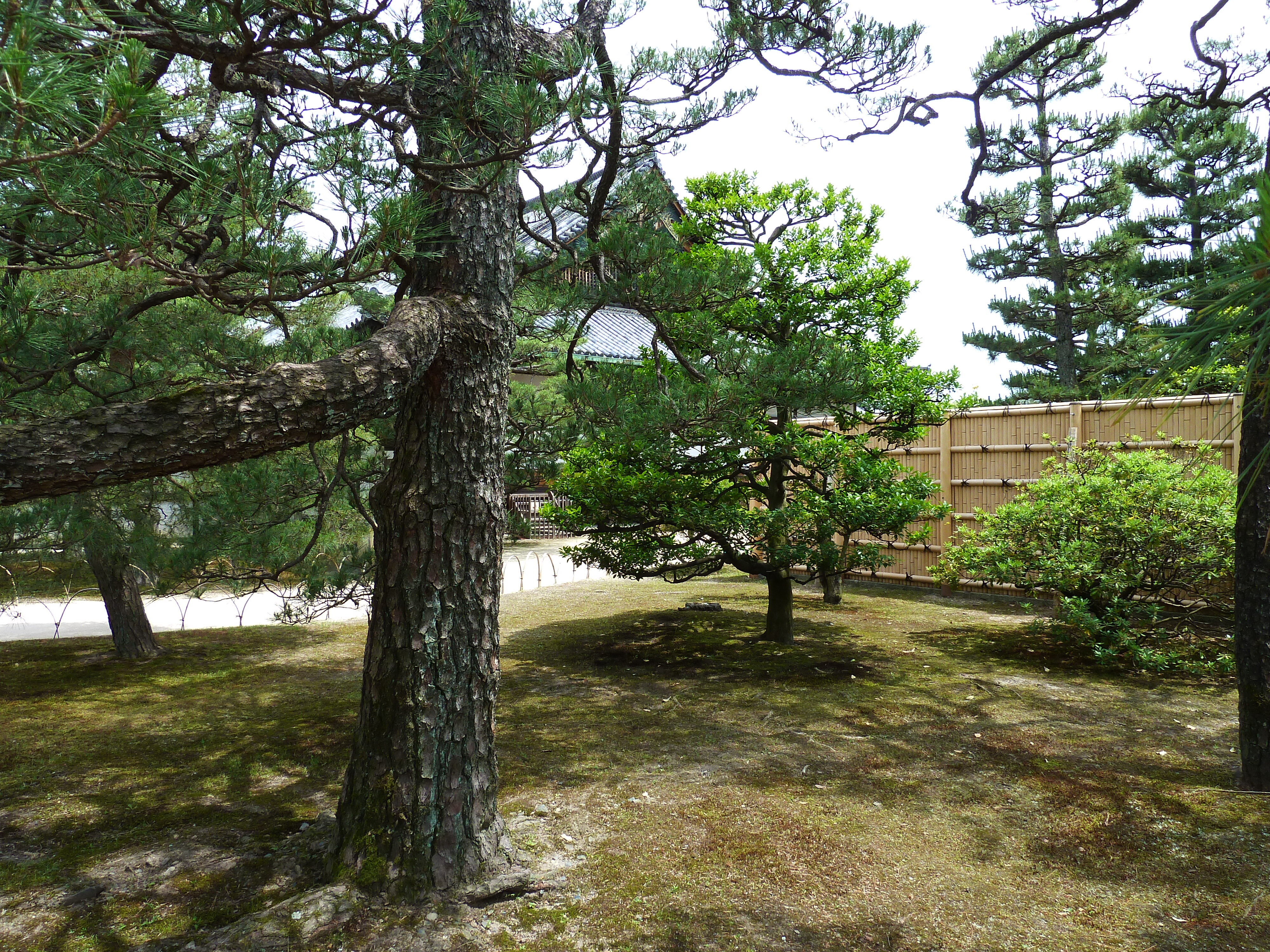 Picture Japan Kyoto Nijo Castle 2010-06 91 - History Nijo Castle