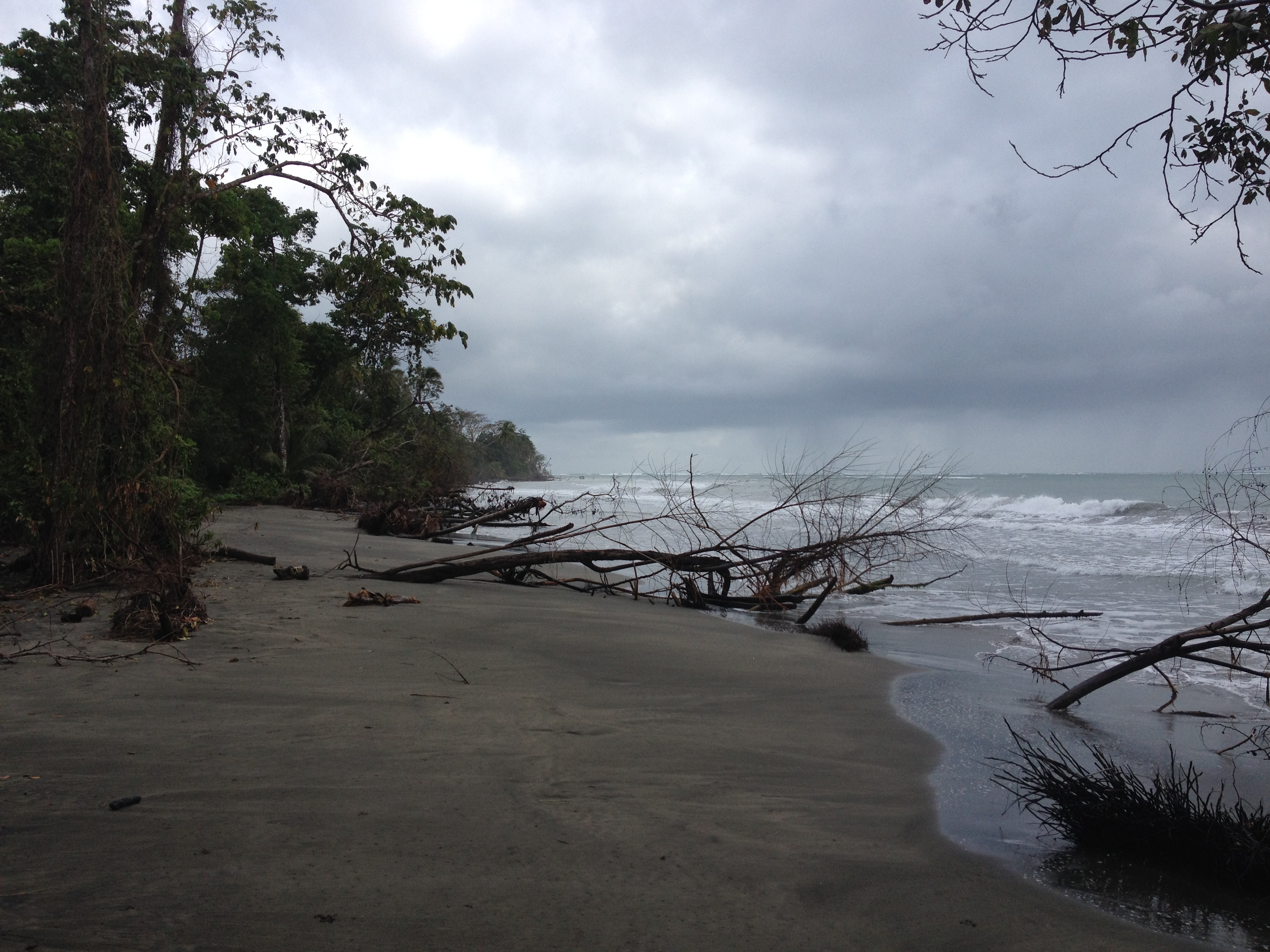 Picture Costa Rica Cahuita 2015-03 162 - Tour Cahuita