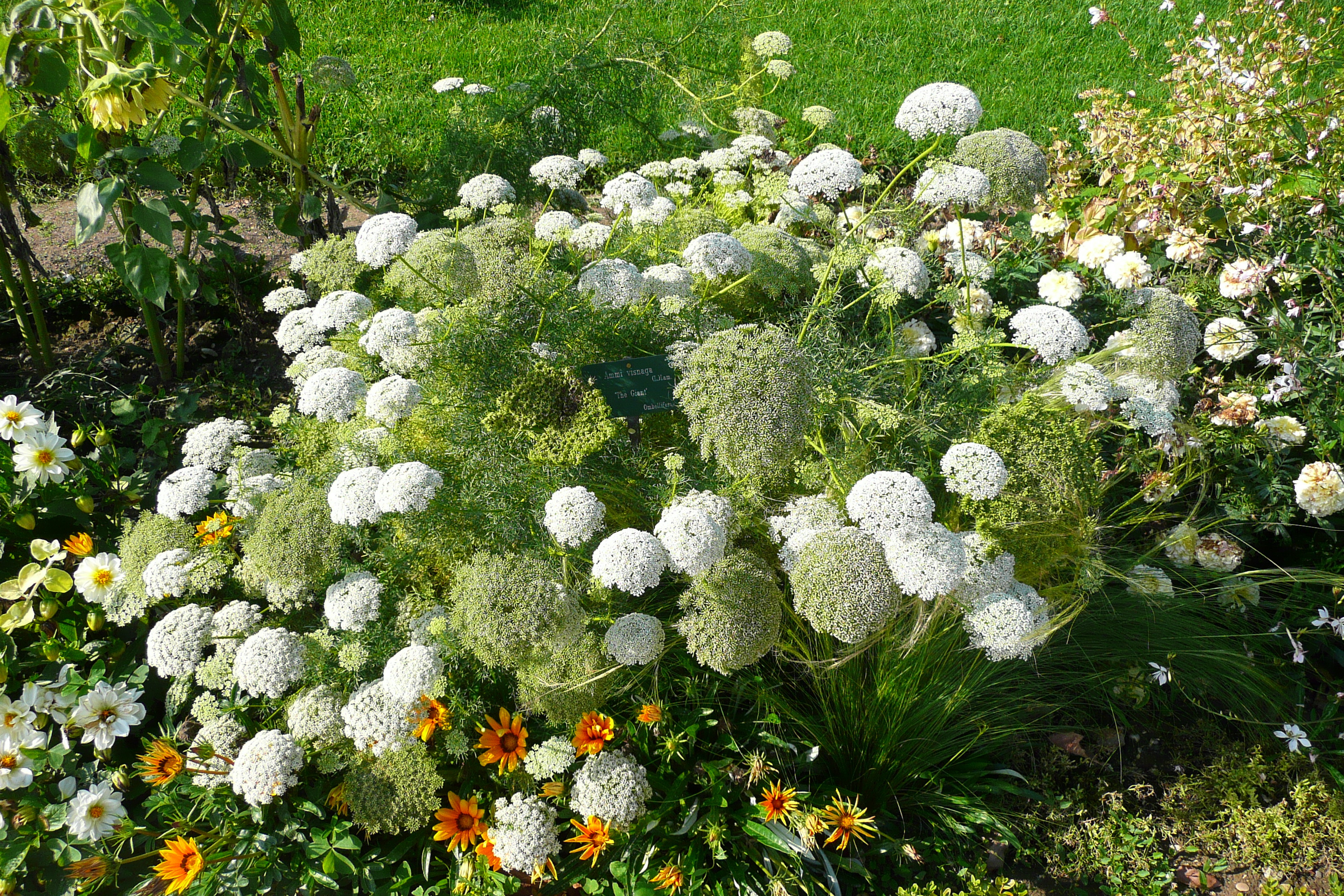 Picture France Paris Jardin des Plantes 2007-08 52 - Tour Jardin des Plantes