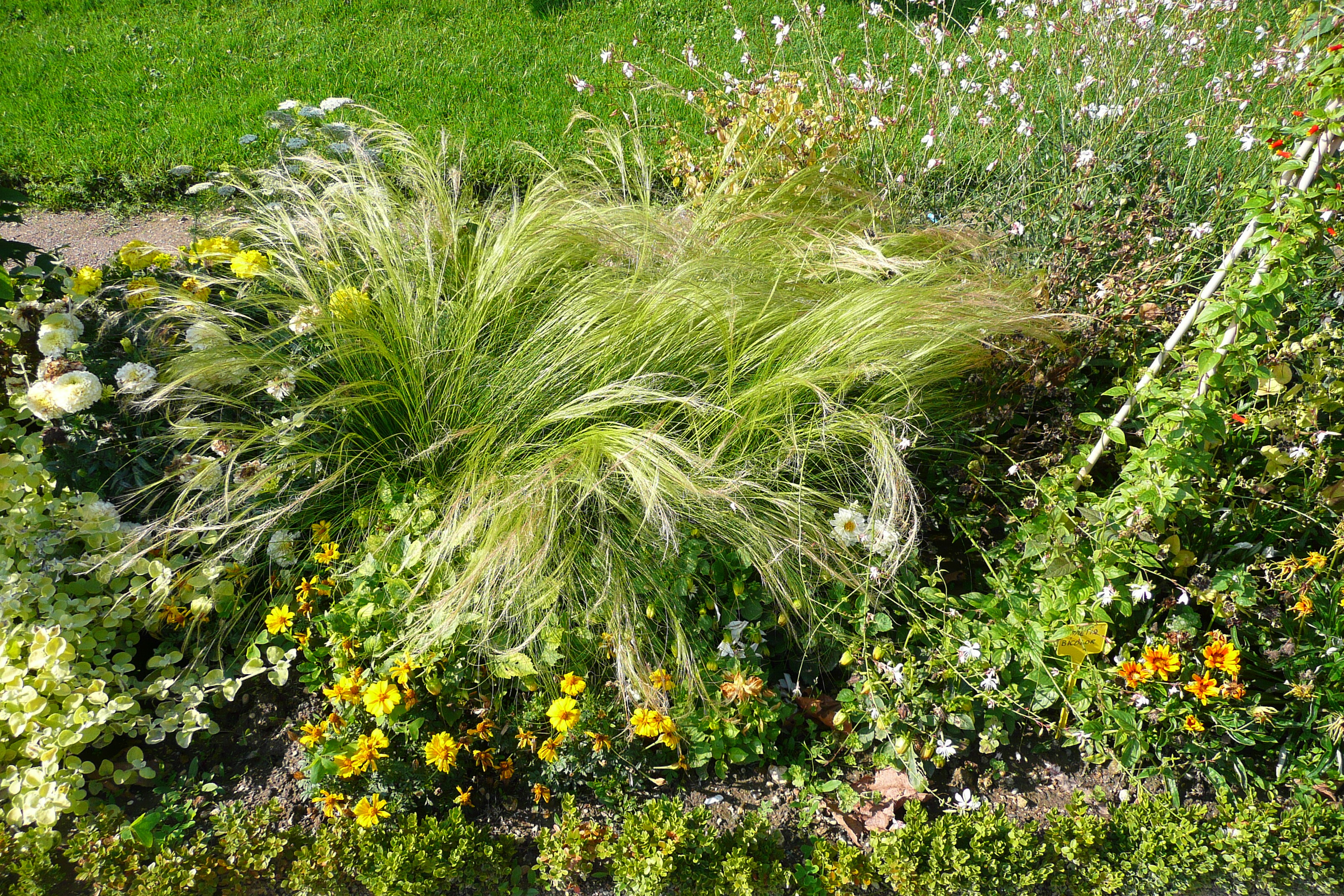 Picture France Paris Jardin des Plantes 2007-08 18 - Tours Jardin des Plantes