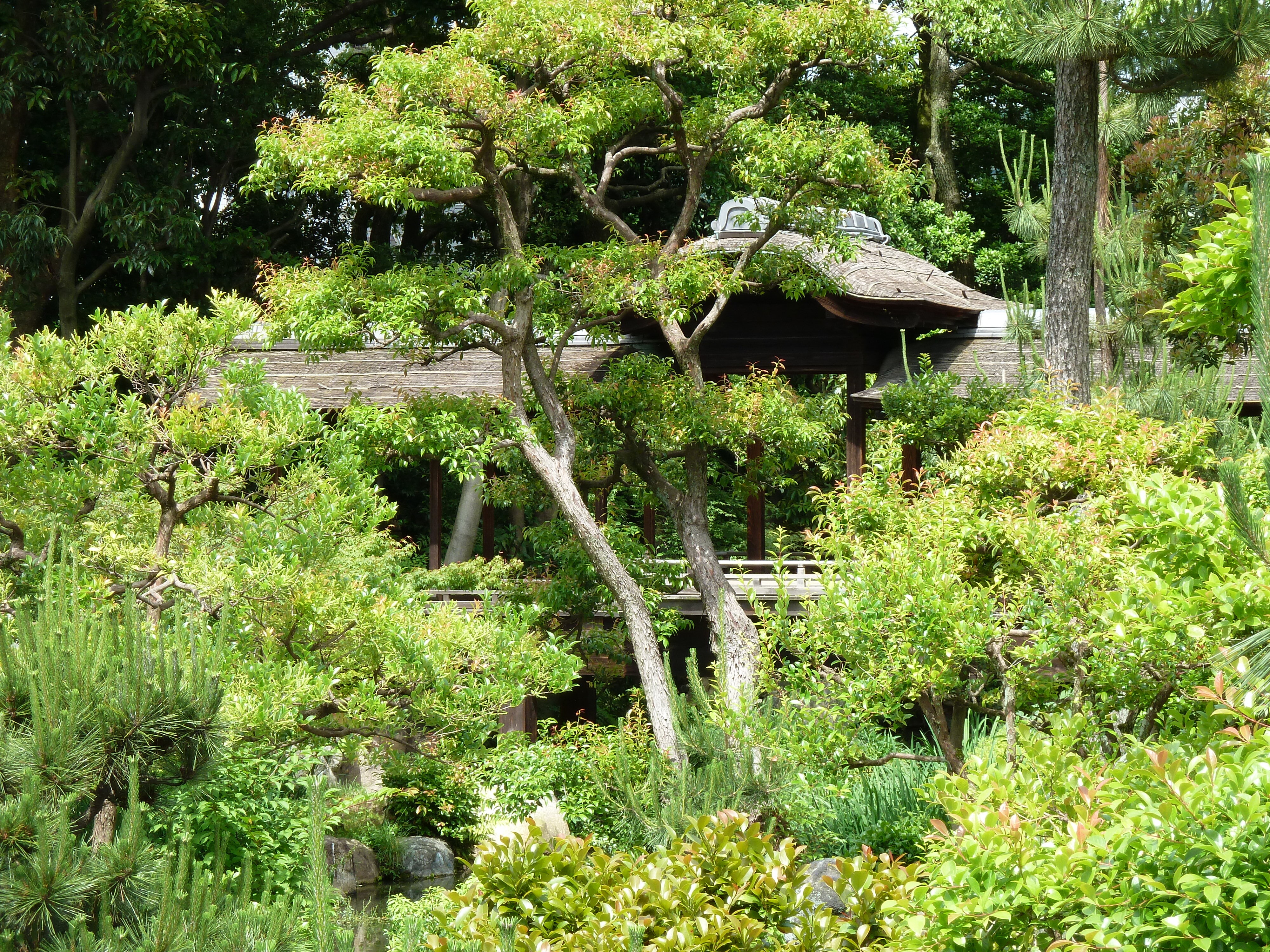 Picture Japan Kyoto Shosei en Garden 2010-06 58 - Discovery Shosei en Garden