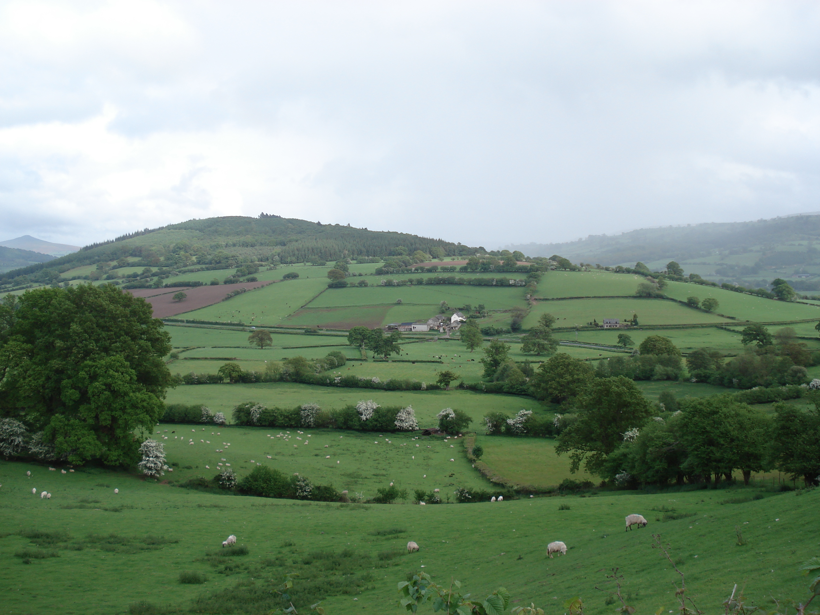 Picture United Kingdom Brecon Beacons National Parc 2006-05 72 - Center Brecon Beacons National Parc