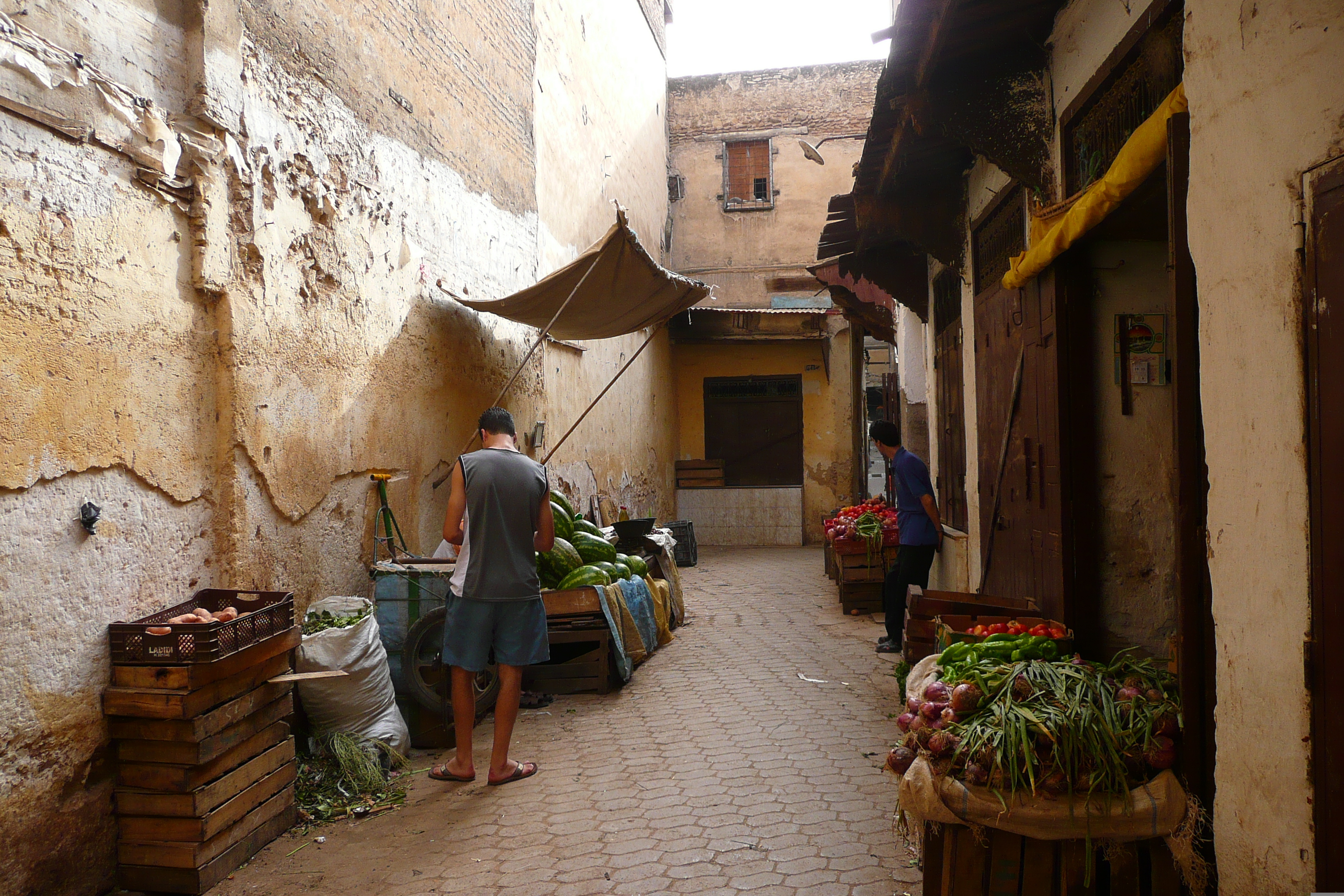 Picture Morocco Fes Fes Medina 2008-07 100 - Around Fes Medina