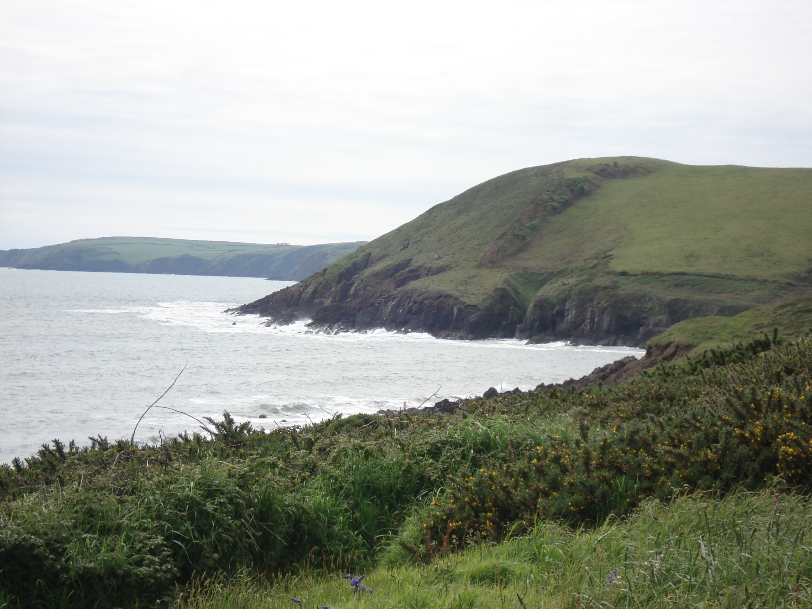 Picture United Kingdom Pembrokeshire 2006-05 41 - Center Pembrokeshire