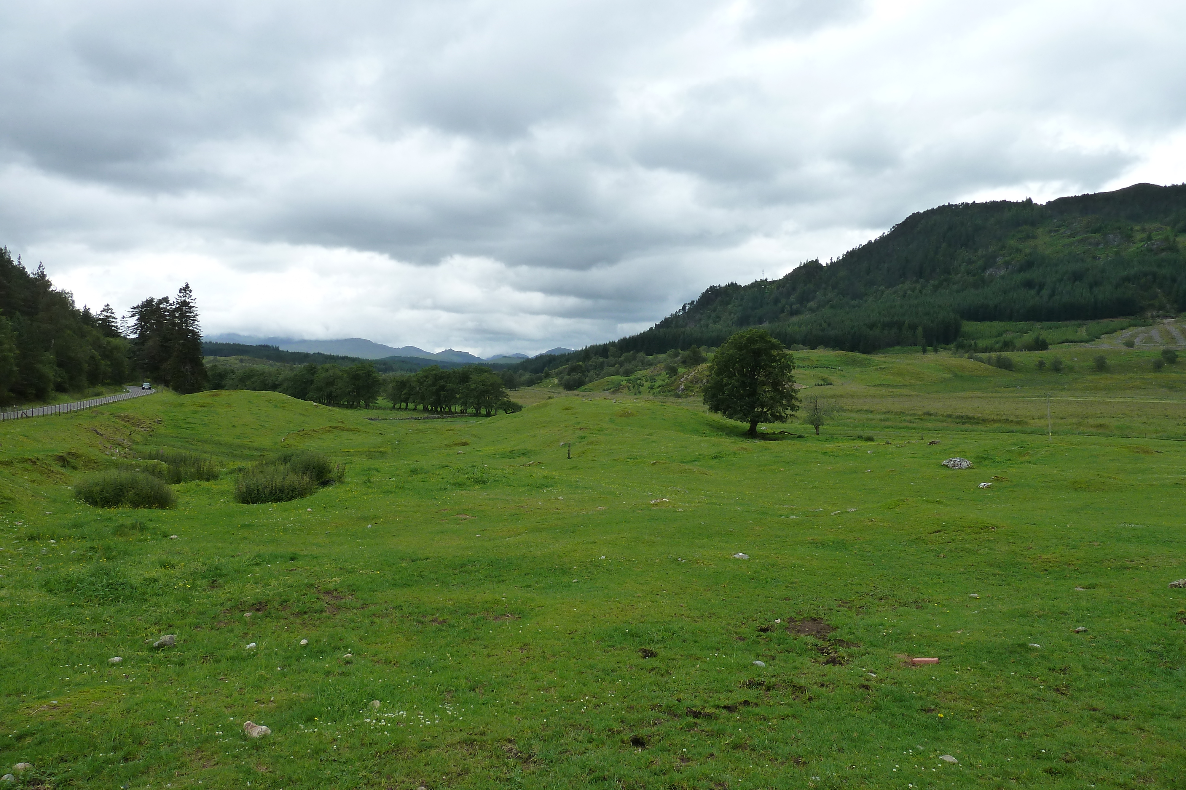 Picture United Kingdom Scotland Forres to Aviemore road 2011-07 8 - Journey Forres to Aviemore road