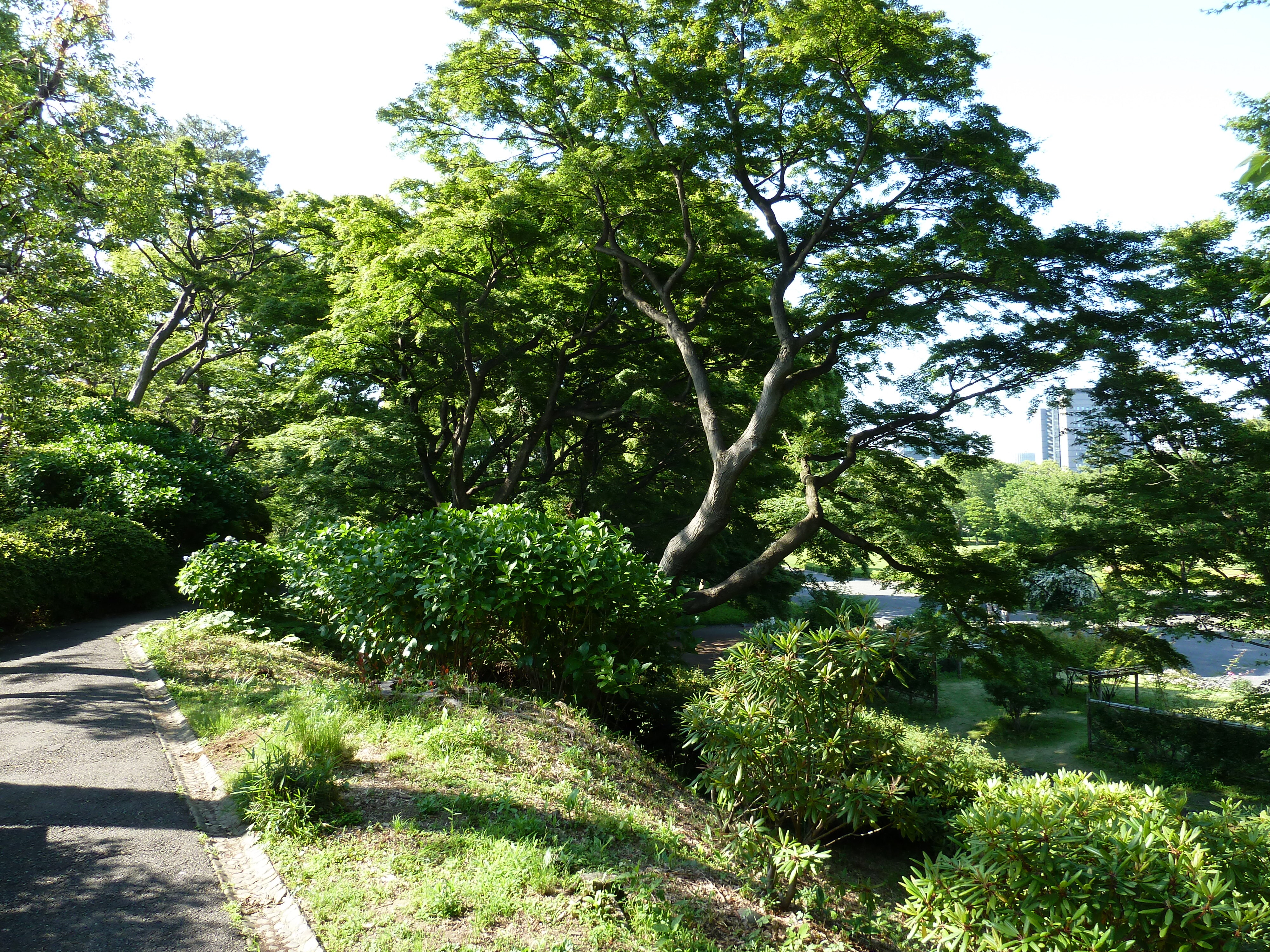 Picture Japan Tokyo Imperial Palace 2010-06 8 - Journey Imperial Palace