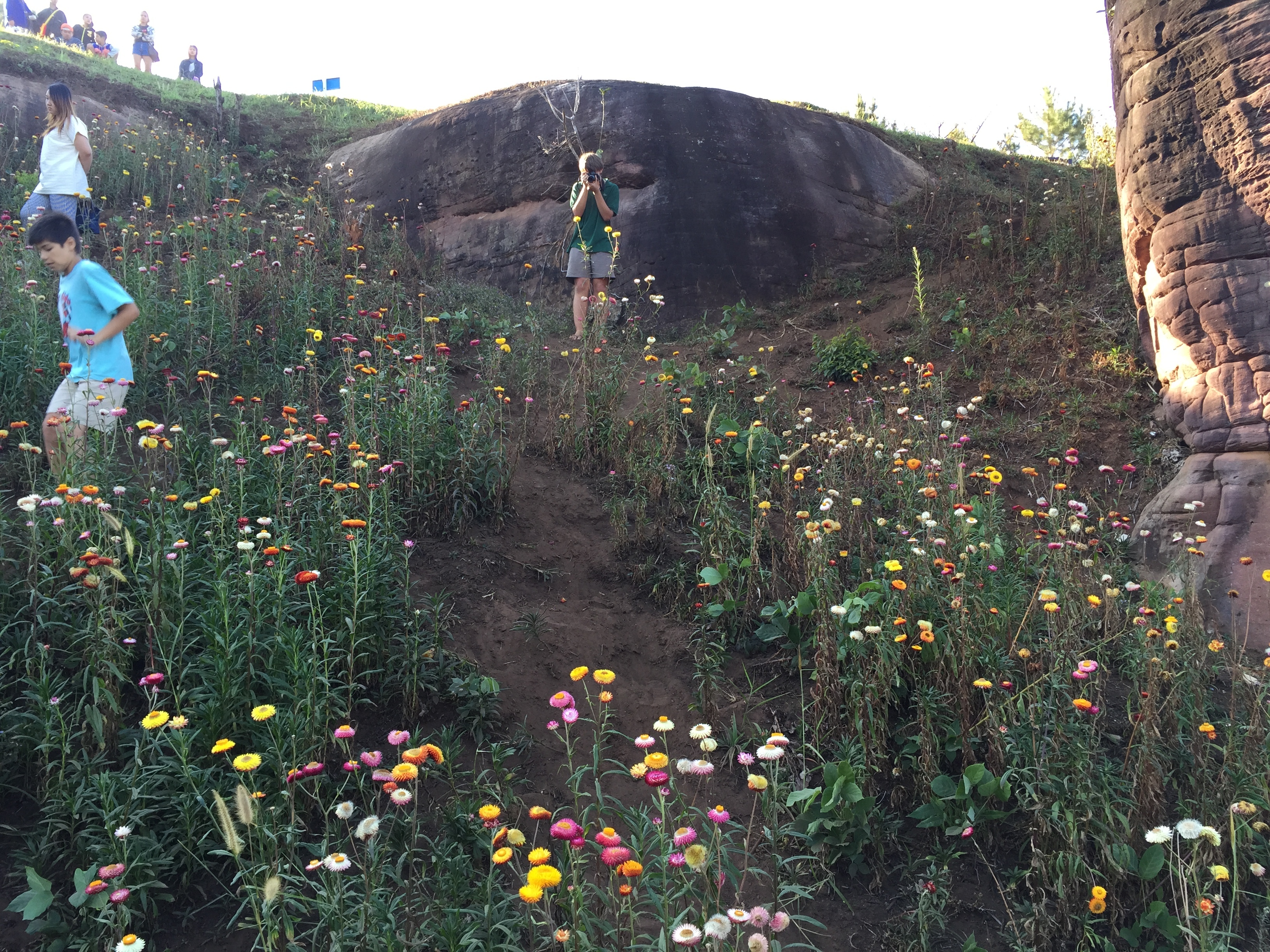 Picture Thailand Phu Hin Rong Kla National Park 2014-12 306 - Recreation Phu Hin Rong Kla National Park