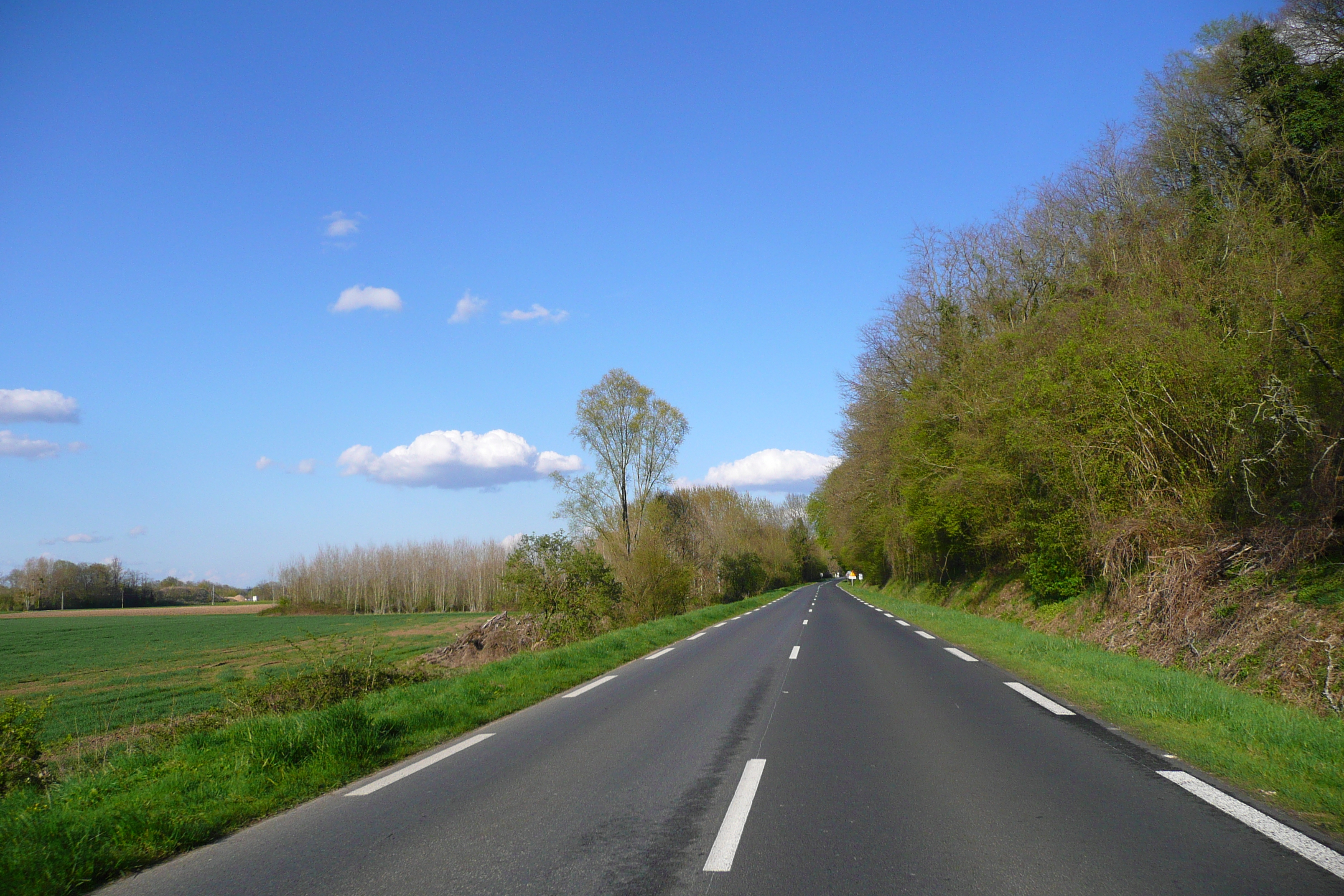 Picture France Amboise Amboise to blois road 2008-04 23 - Tours Amboise to blois road