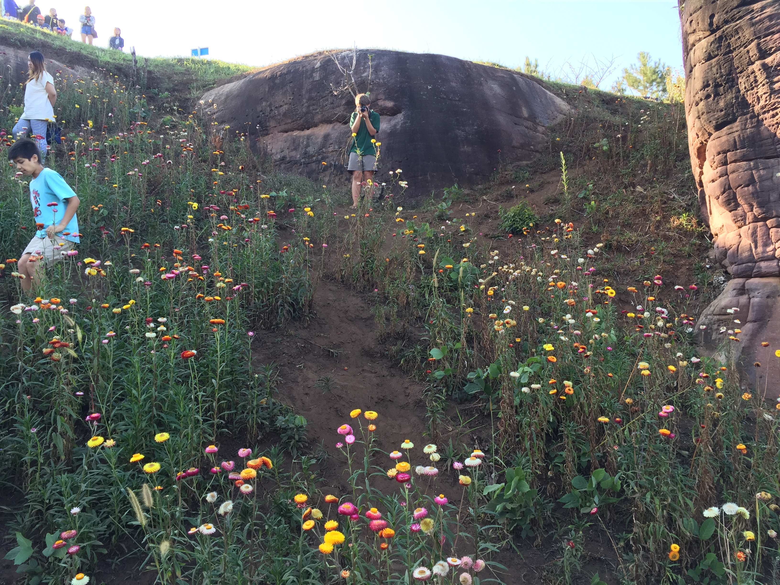 Picture Thailand Phu Hin Rong Kla National Park 2014-12 319 - Journey Phu Hin Rong Kla National Park