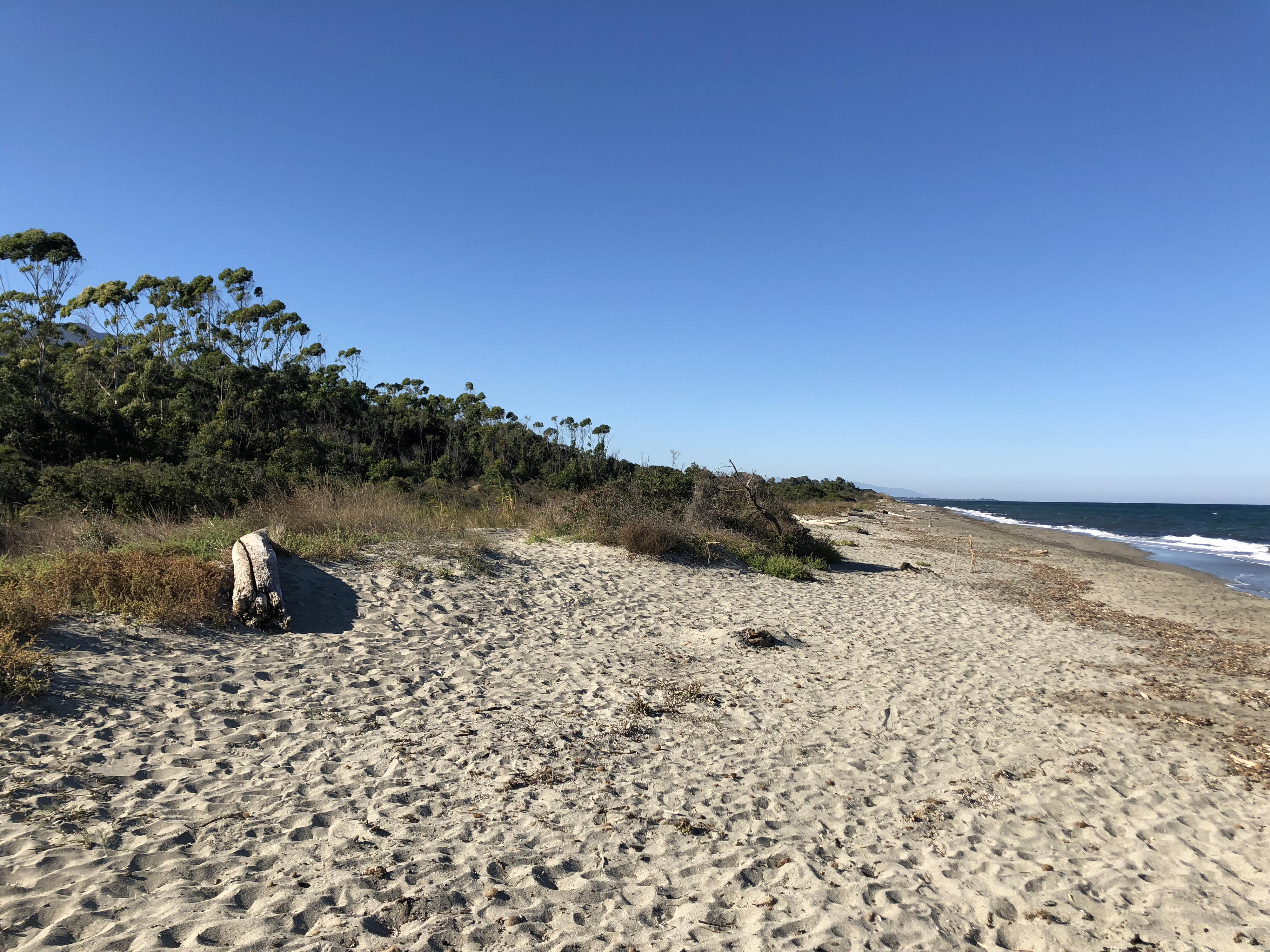 Picture France Corsica San Giuliano 2018-09 18 - Around San Giuliano