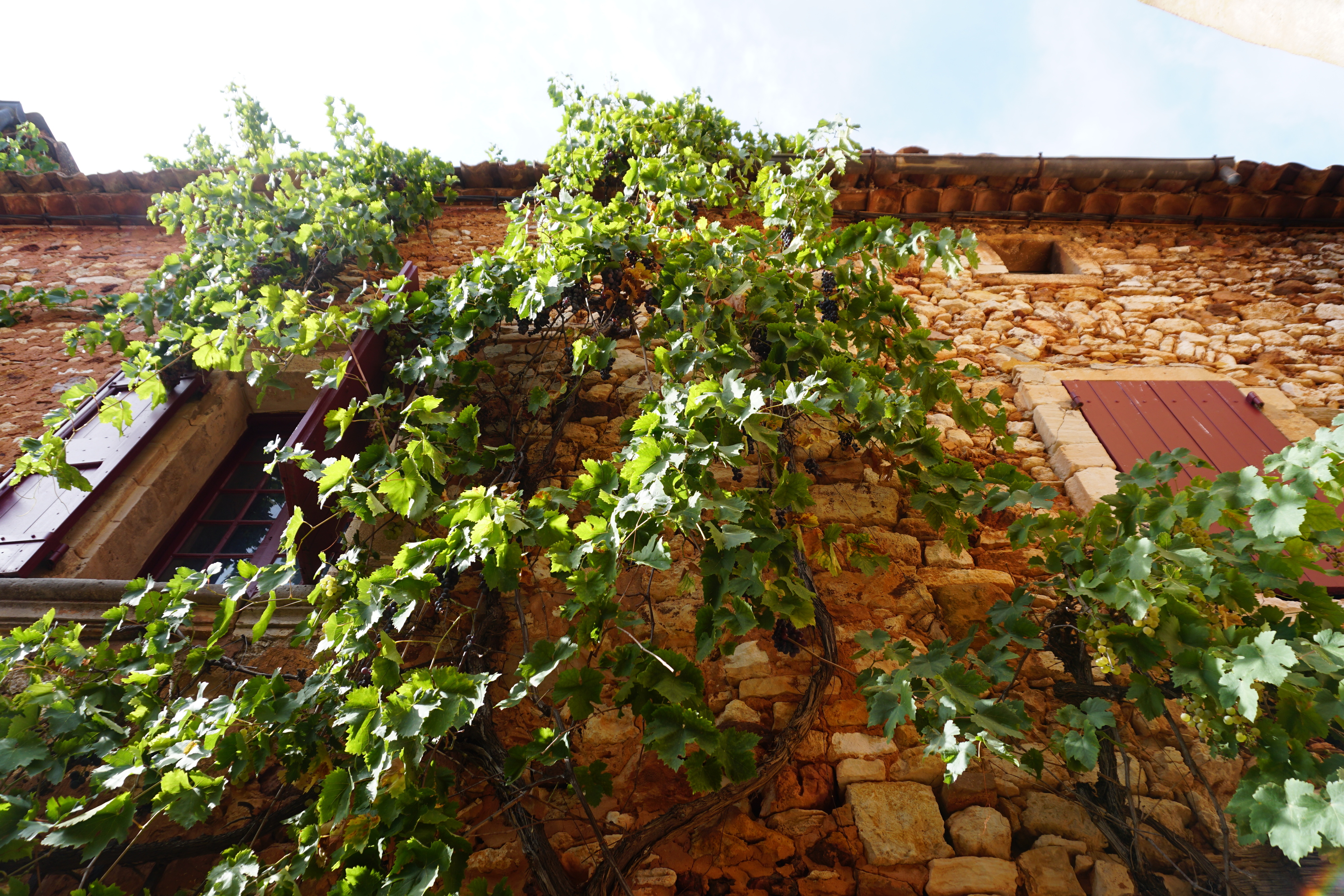 Picture France Roussillon 2017-08 23 - Center Roussillon