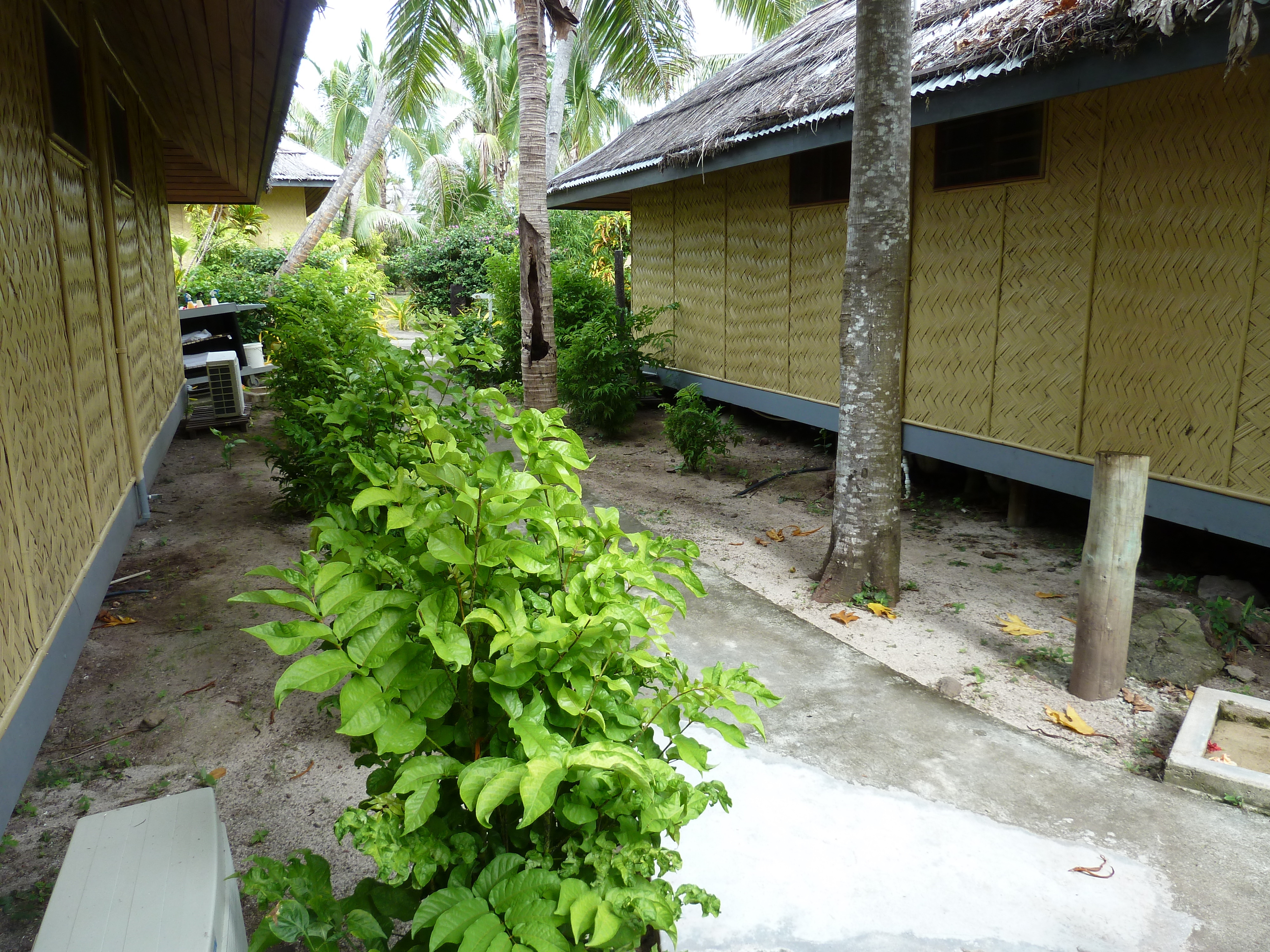 Picture Fiji Amunuca Island Resort 2010-05 56 - Discovery Amunuca Island Resort