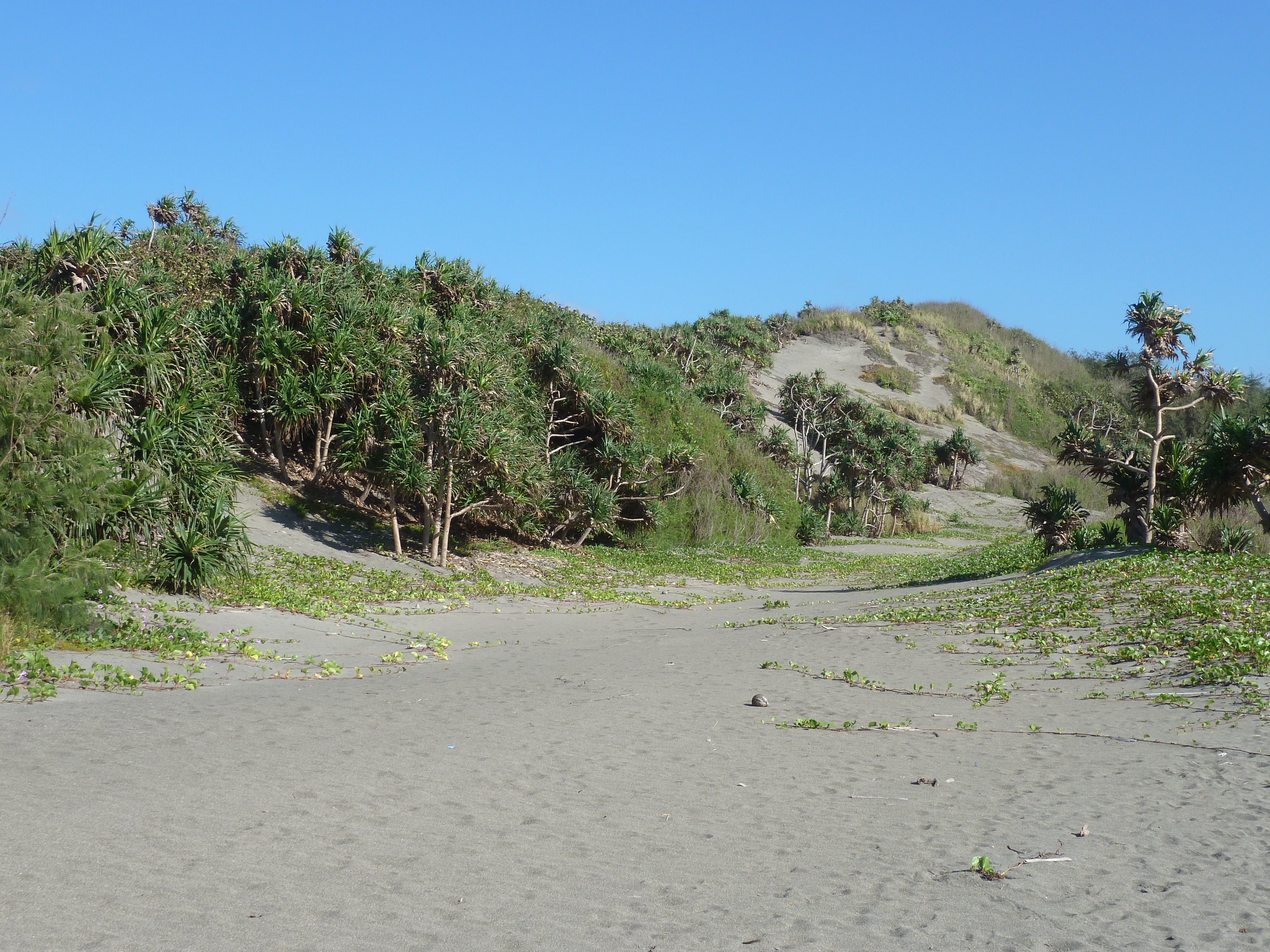 Picture Fiji Sigatoka sand dunes national park 2010-05 36 - Discovery Sigatoka sand dunes national park